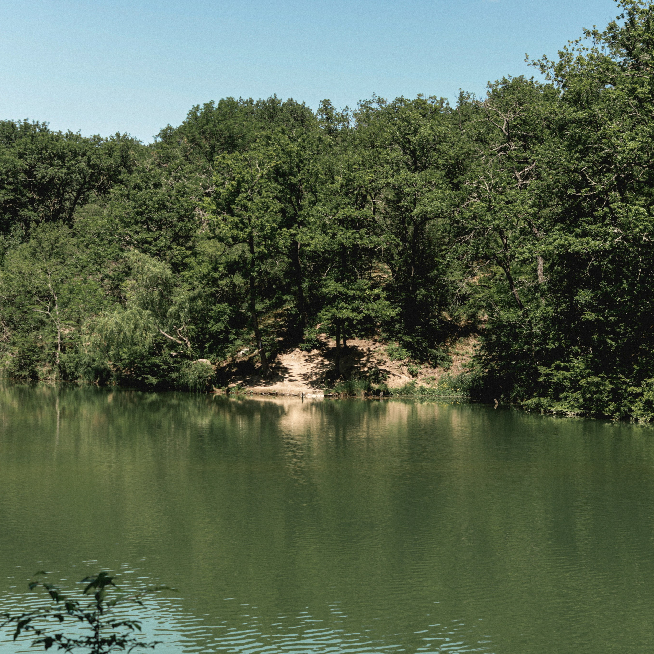 Прогулка день Земли 24. Фотография, которая говорит о тебе