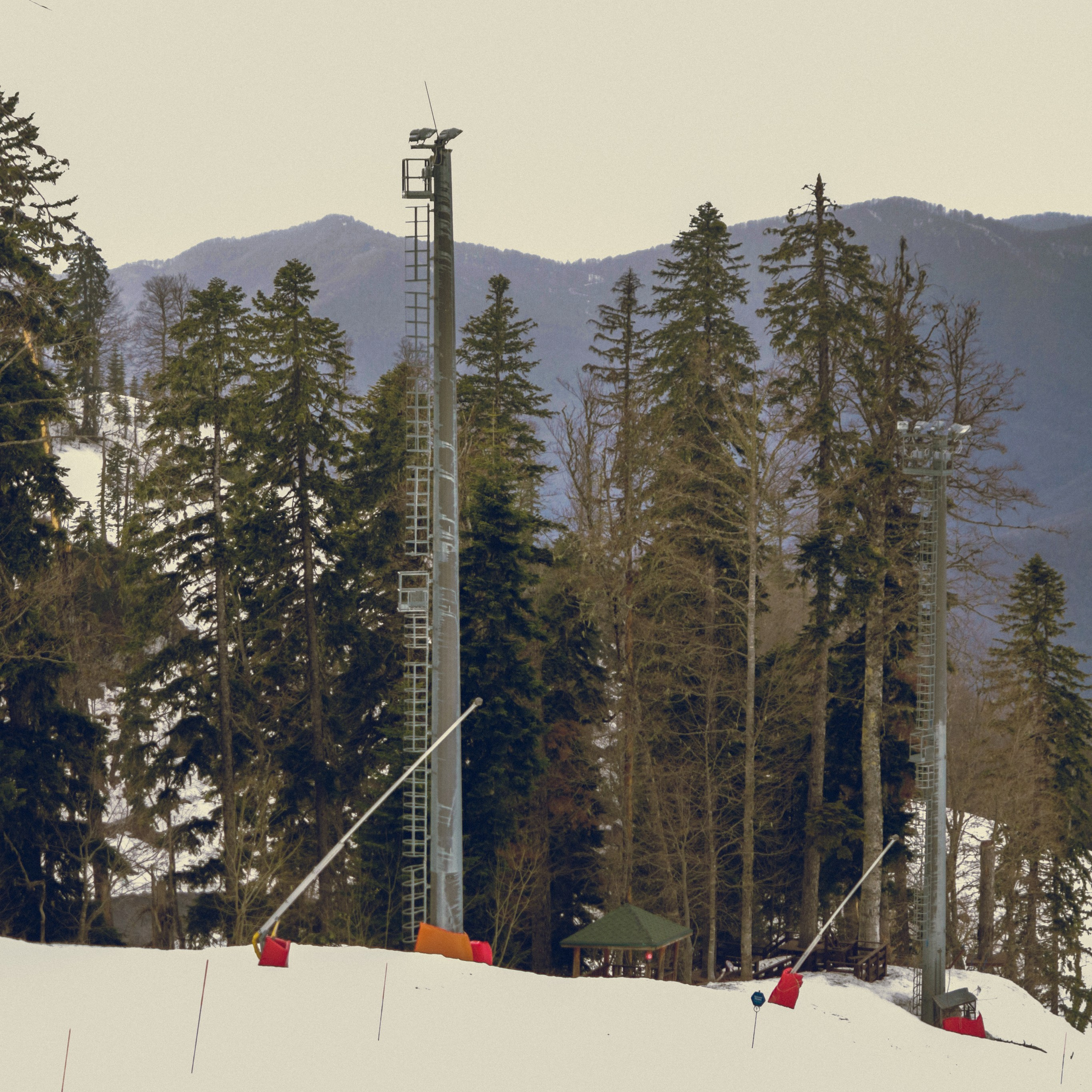 Поляна Роза Сочи 24. Фотография, которая говорит о тебе