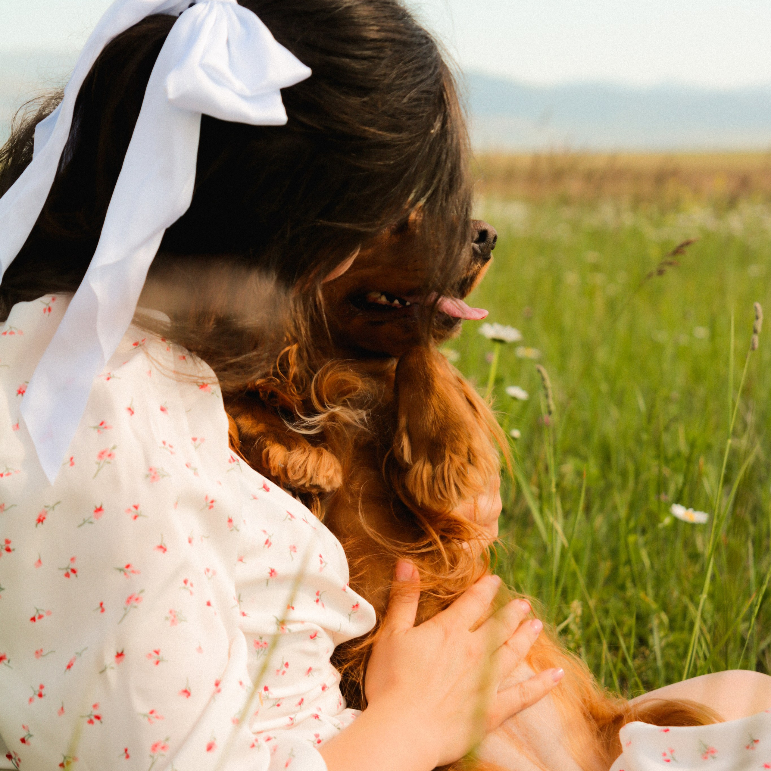 Аня, Черри и ромашки. Фотограф твоей души, снимаю в Крыму и не только
