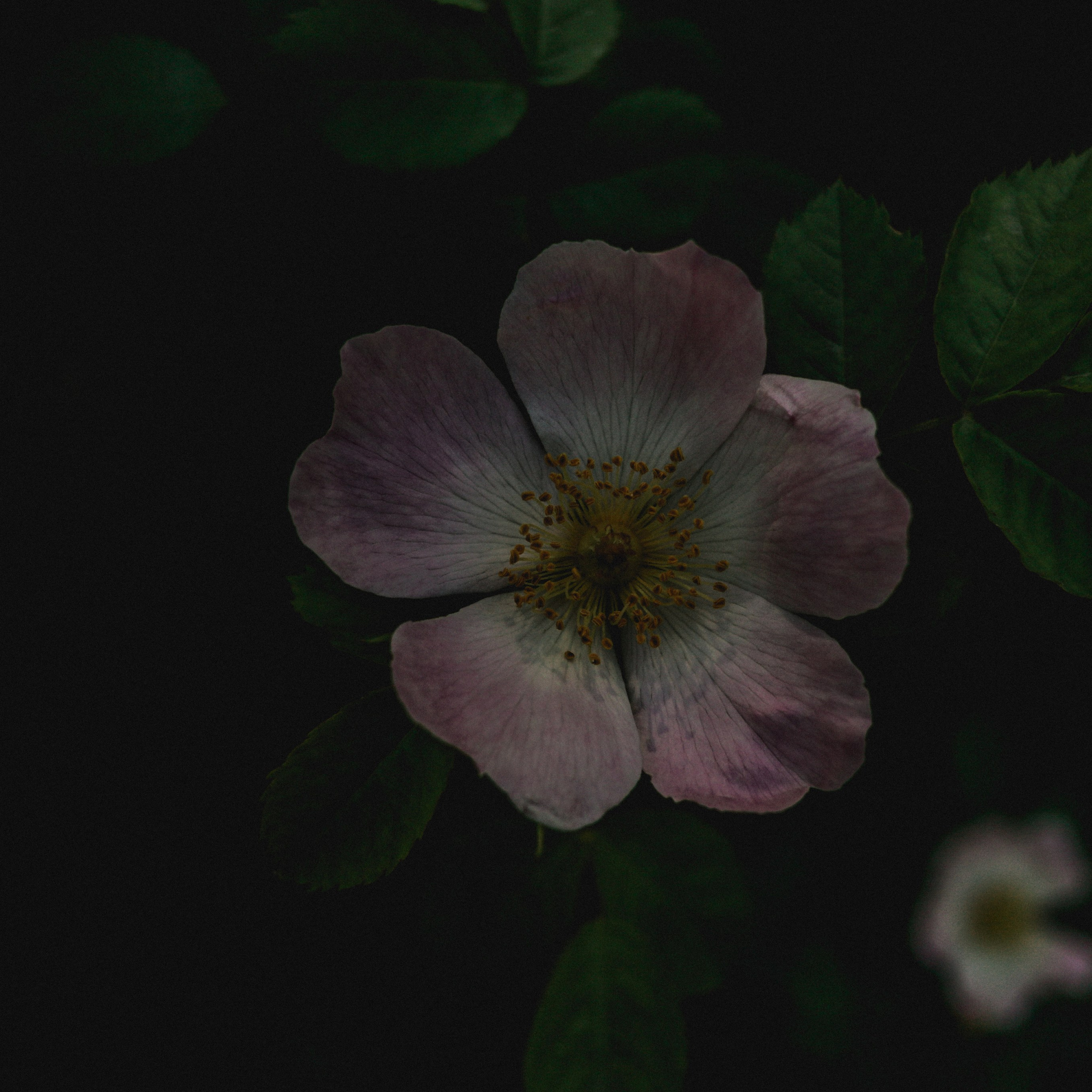 Прогулка день Земли 24. Фотография, которая говорит о тебе