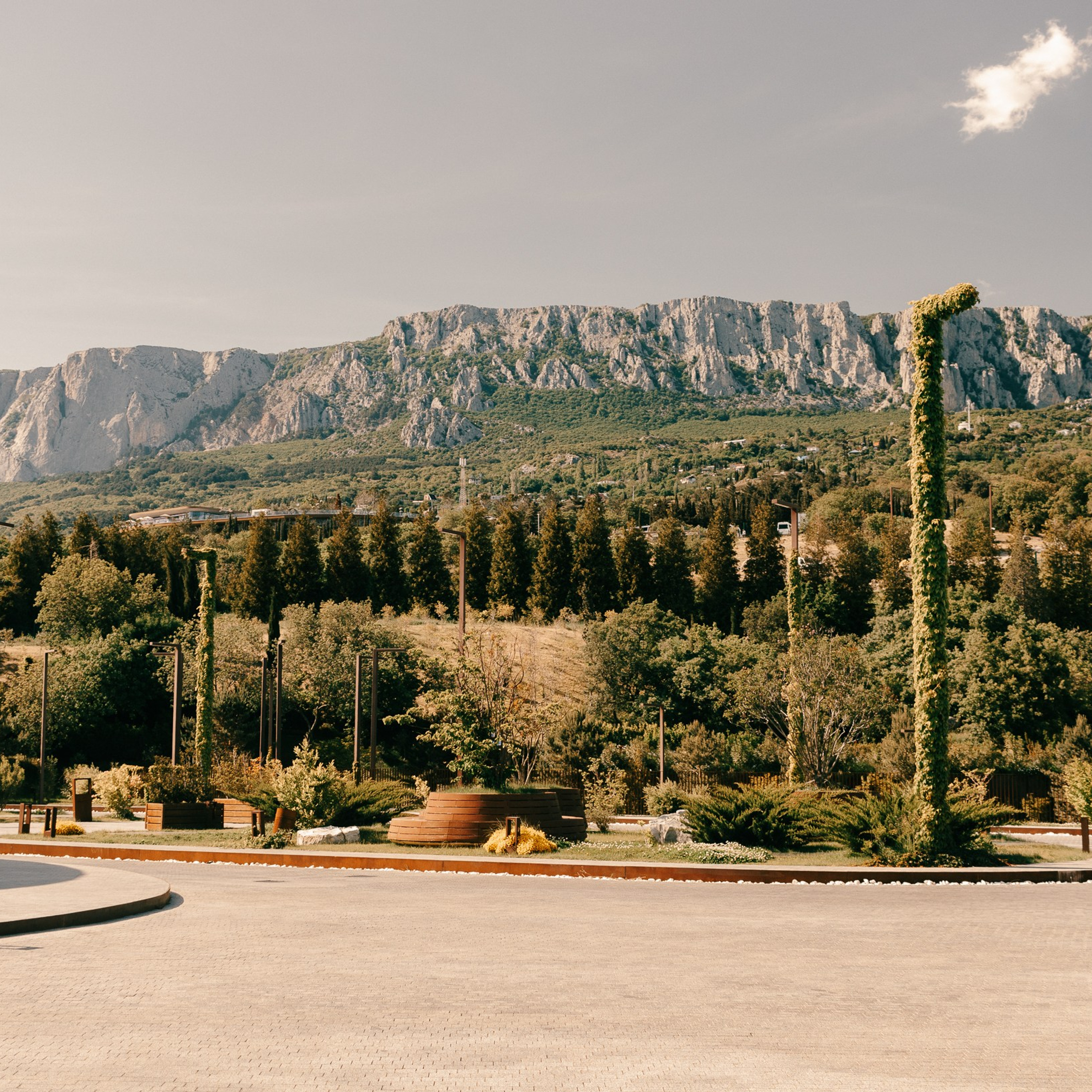 Южная боевая корпорация SFC IV 24.05.25 Винный парк, Мрия. Фотография, которая говорит о тебе