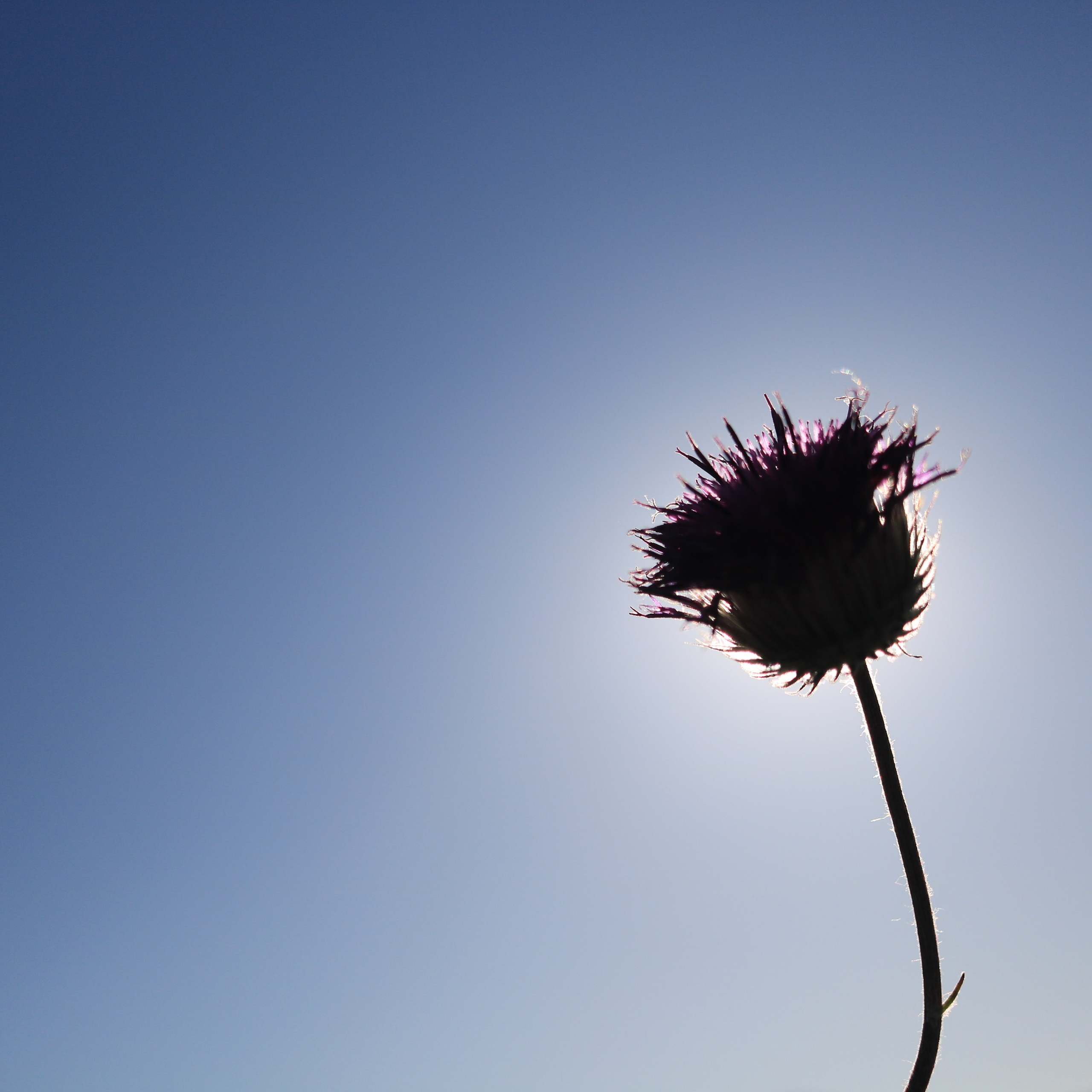 Для печати. Фотограф твоей души, снимаю в Крыму и не только