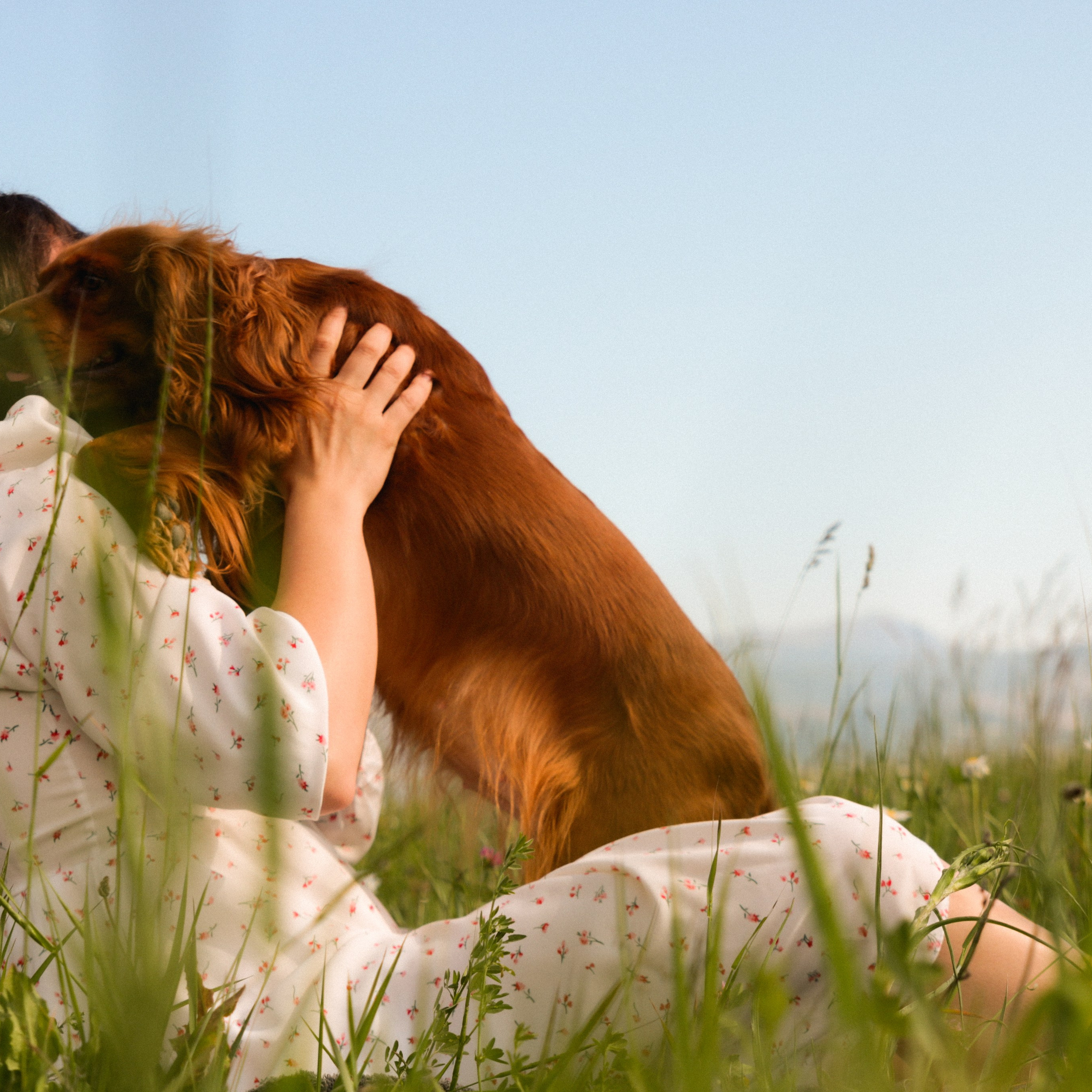 Аня, Черри и ромашки. Фотограф твоей души, снимаю в Крыму и не только