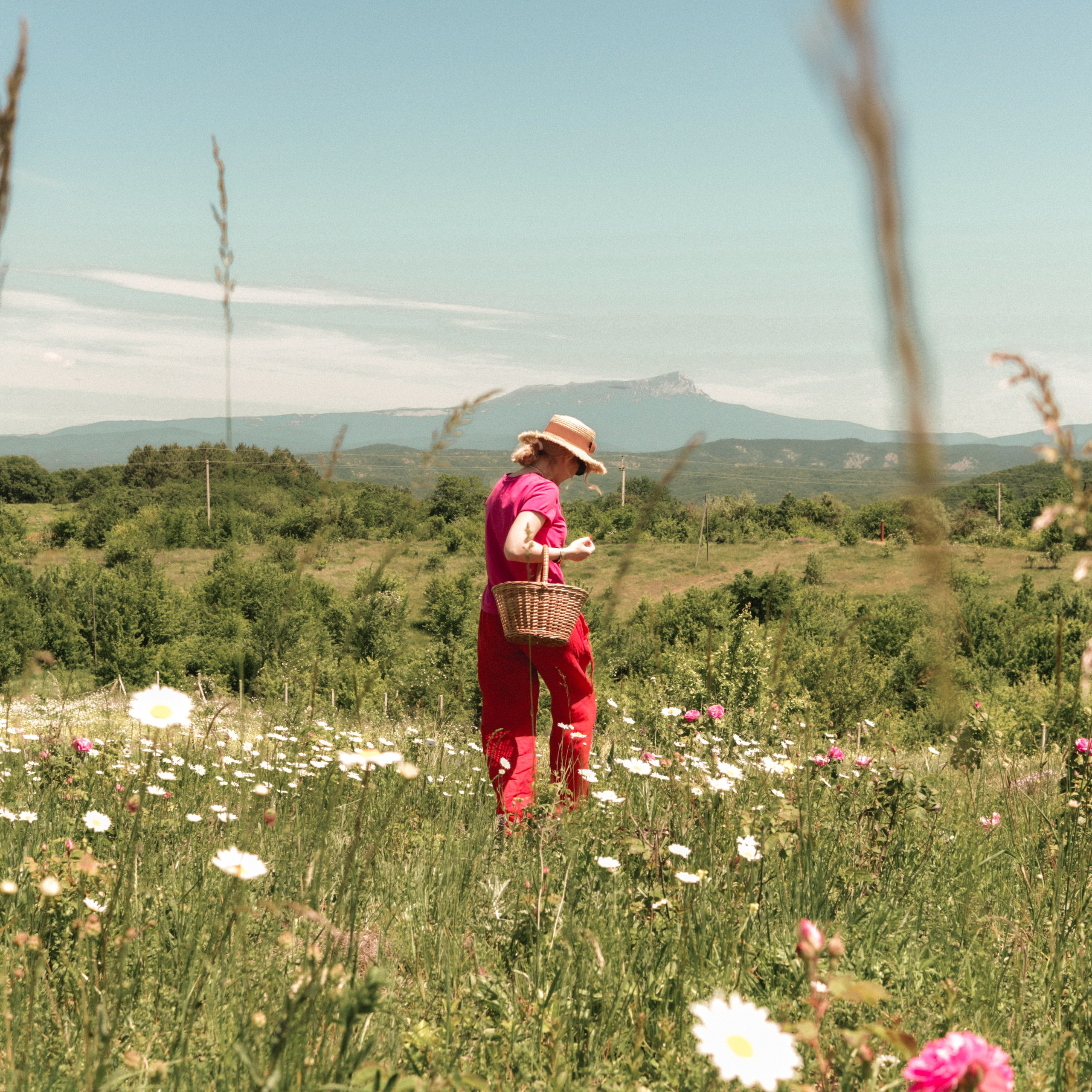 Прогулка день Земли 24. Фотография, которая говорит о тебе
