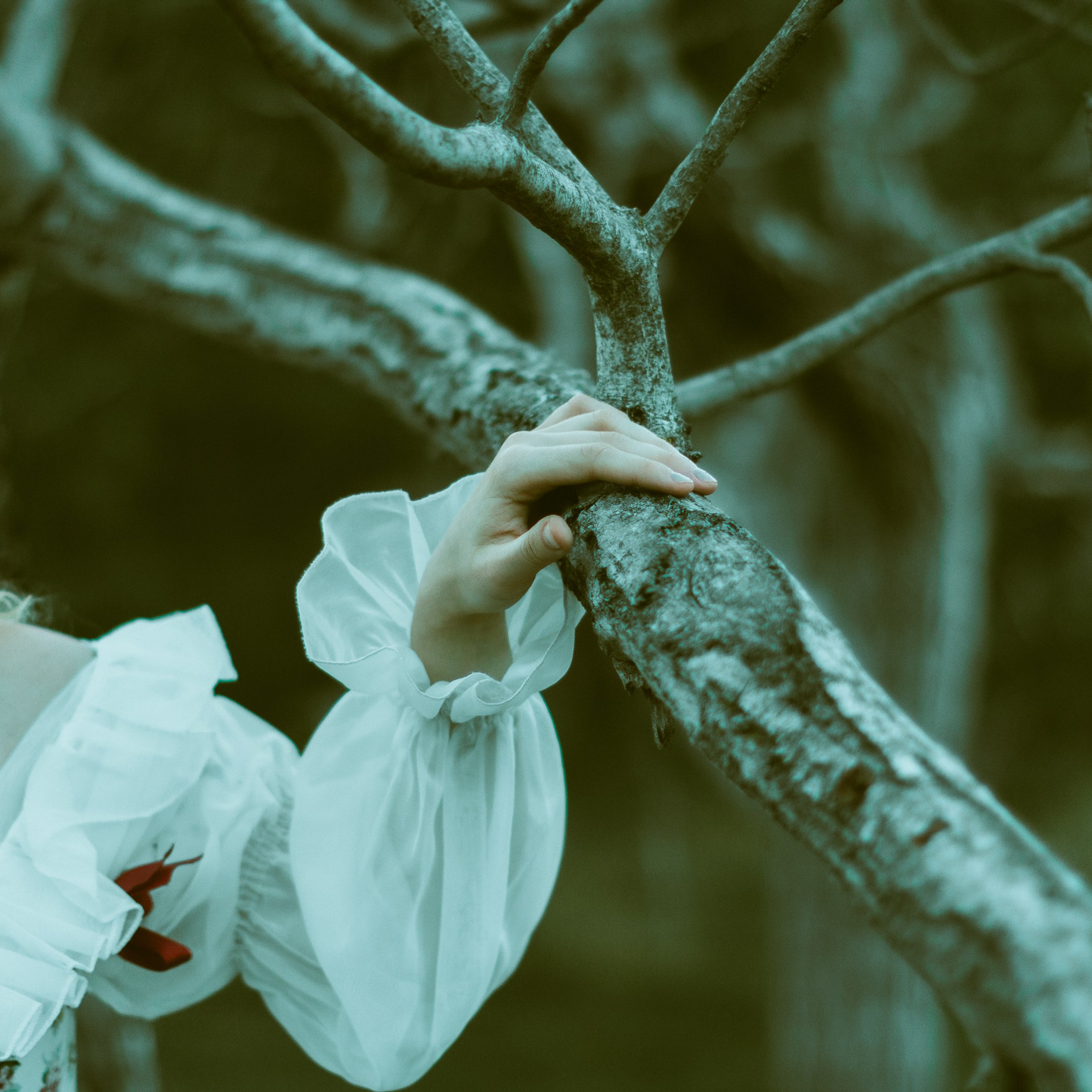 Волшебный лес. Фотограф твоей души, снимаю в Крыму и не только