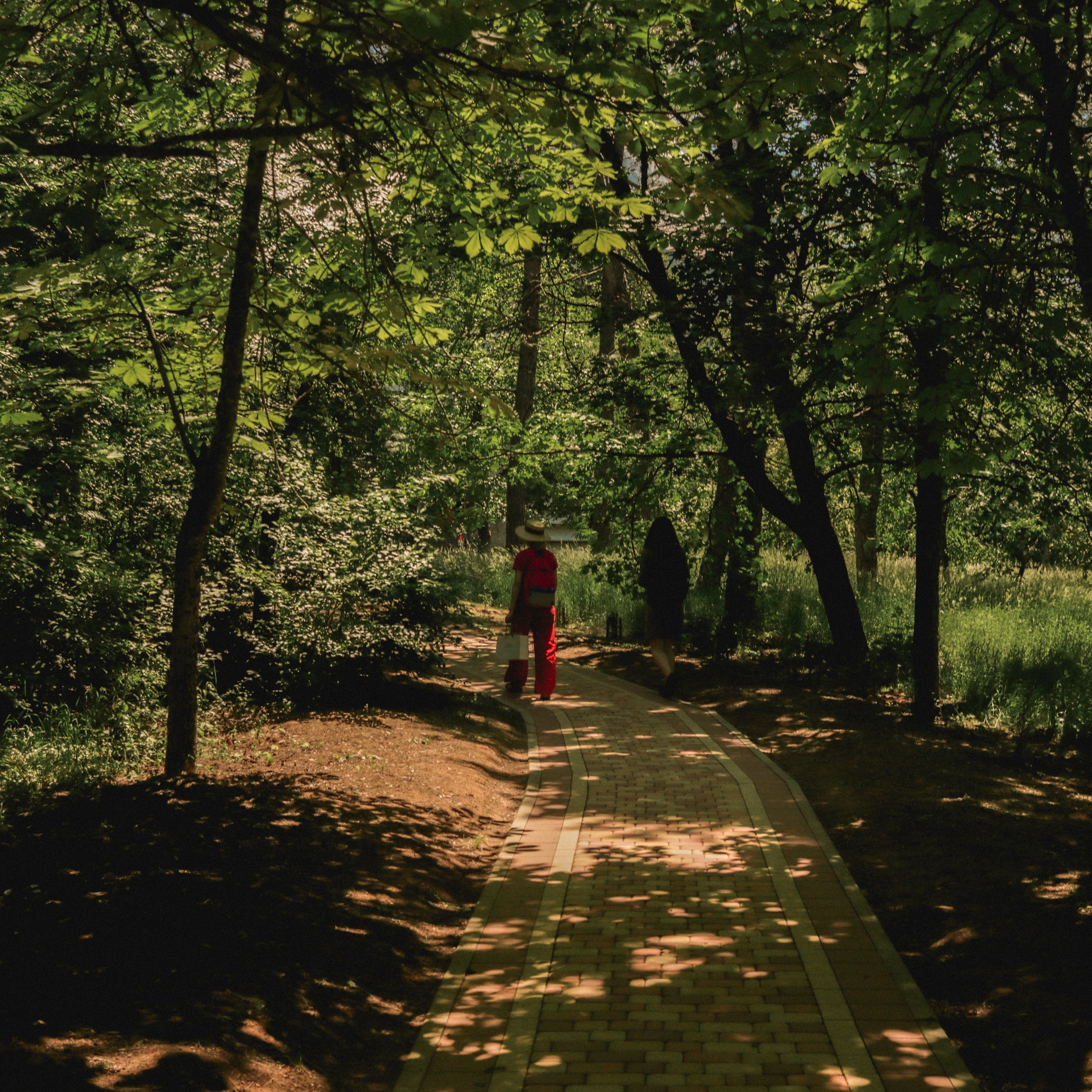 Прогулка день Земли 24. Фотография, которая говорит о тебе