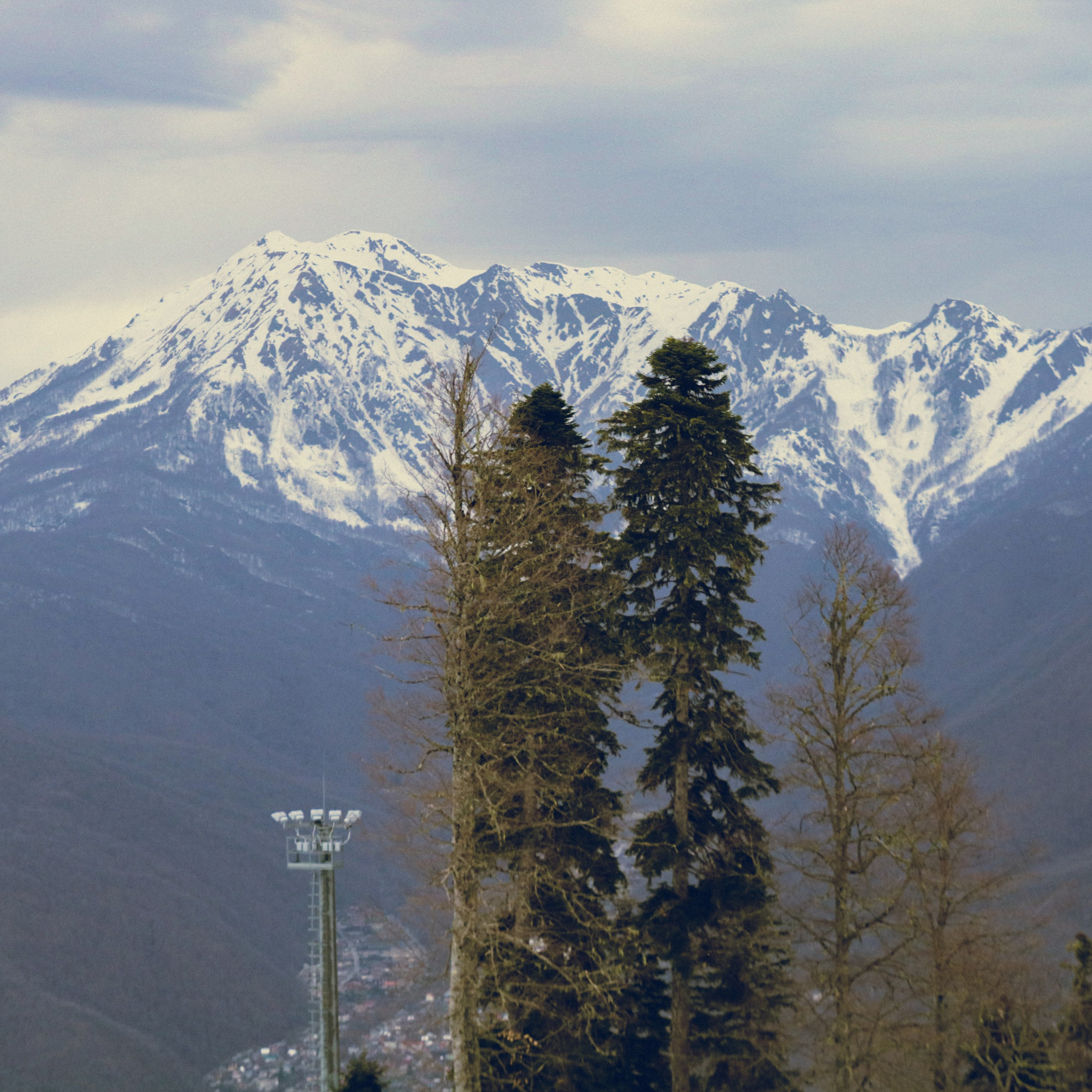 Поляна Роза Сочи 24. Фотография, которая говорит о тебе