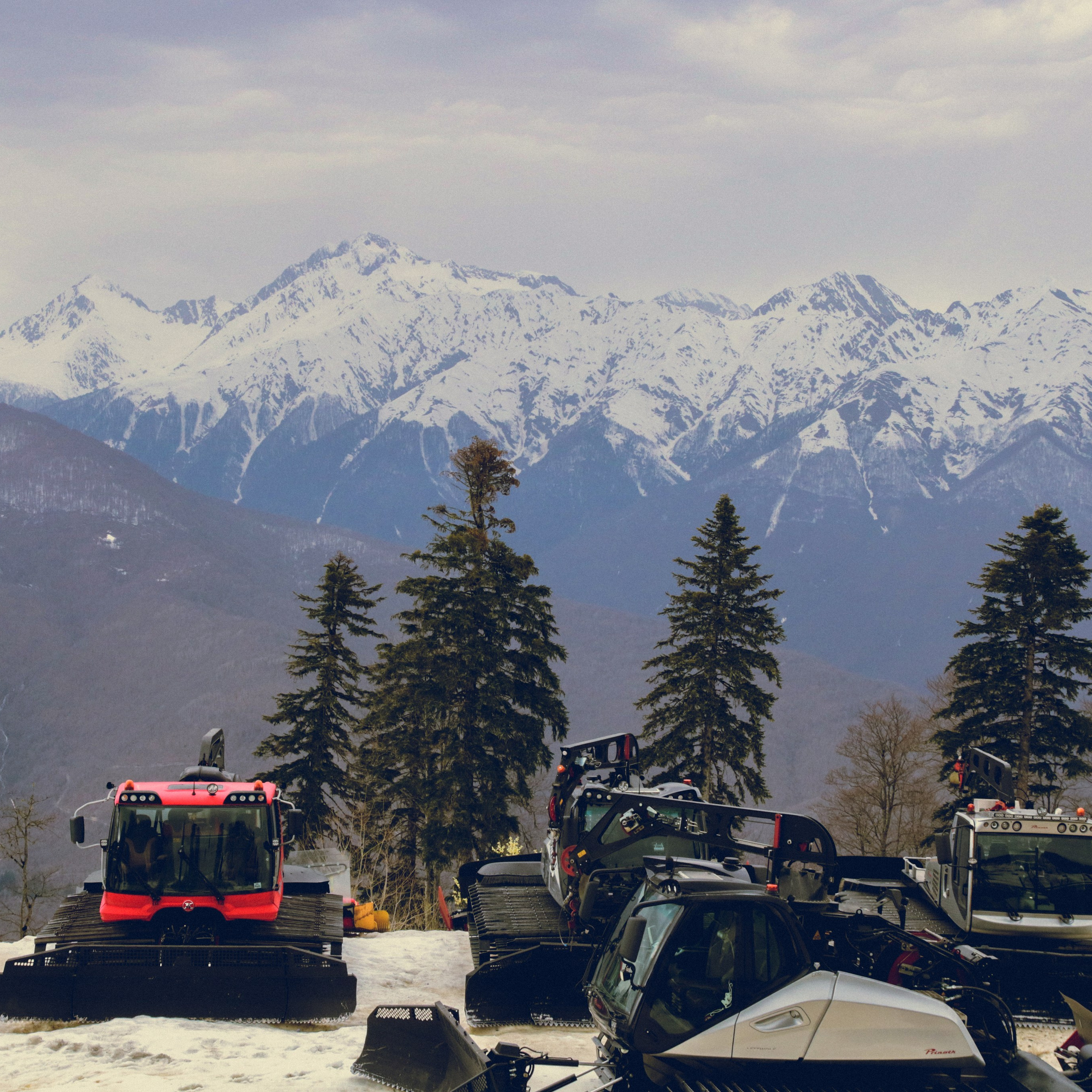 Поляна Роза Сочи 24. Фотография, которая говорит о тебе