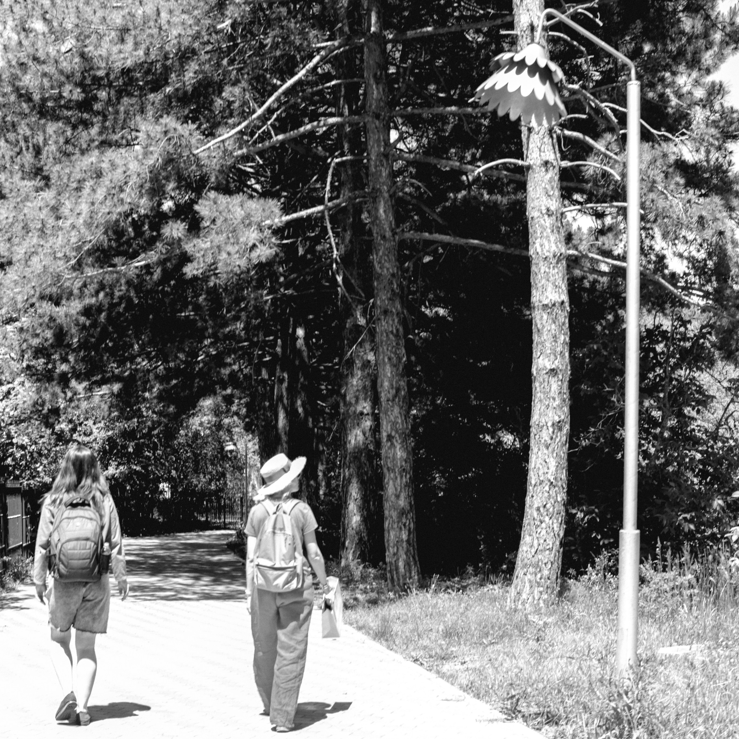 Прогулка день Земли 24. Фотография, которая говорит о тебе