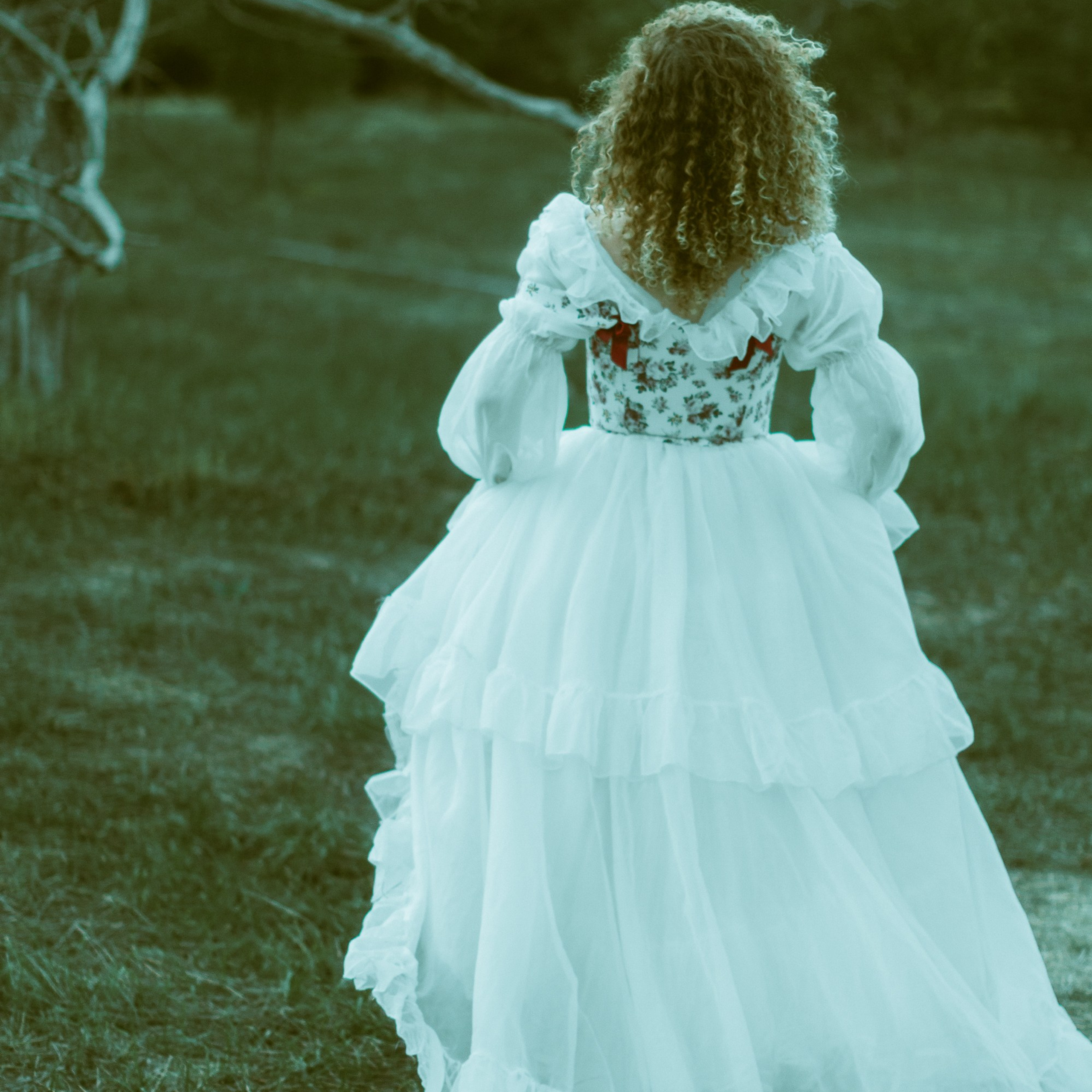 Волшебный лес. Фотограф твоей души, снимаю в Крыму и не только