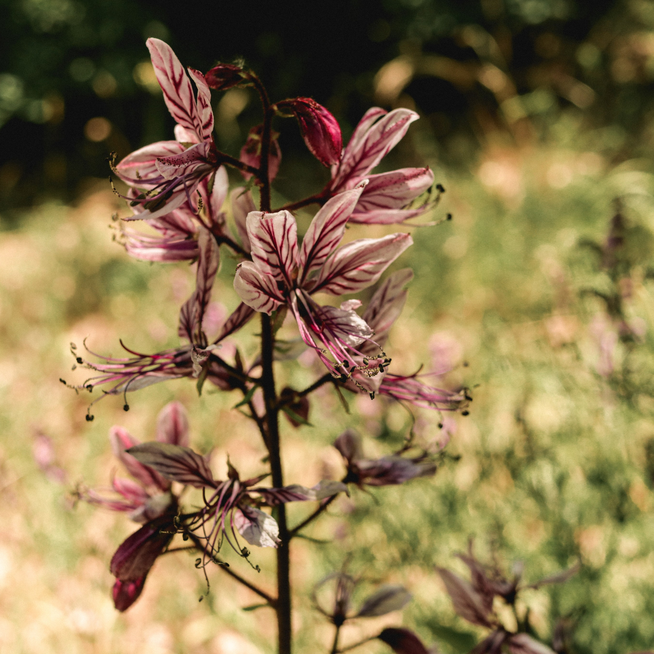 Прогулка день Земли 24. Фотография, которая говорит о тебе