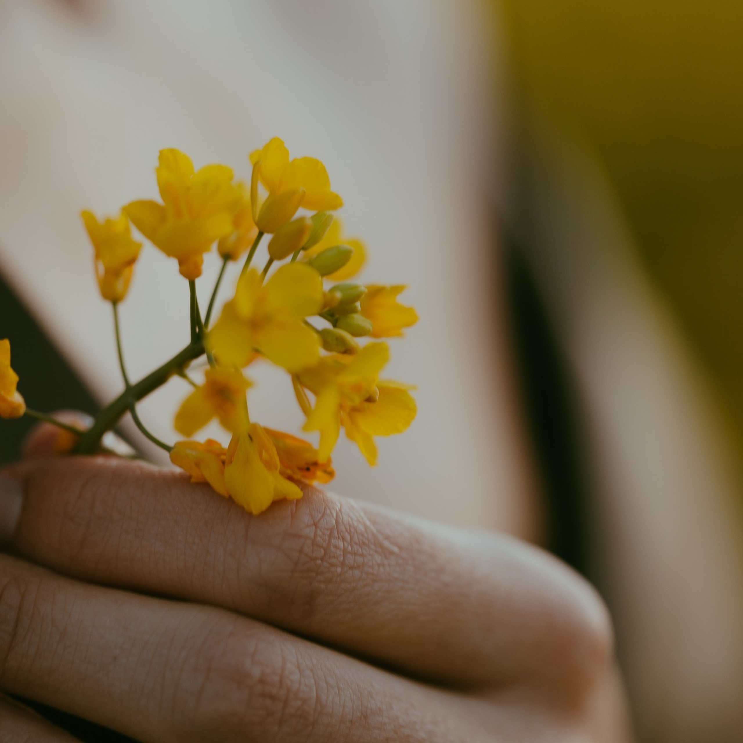 Чувствуя себя. Фотография, которая говорит о тебе