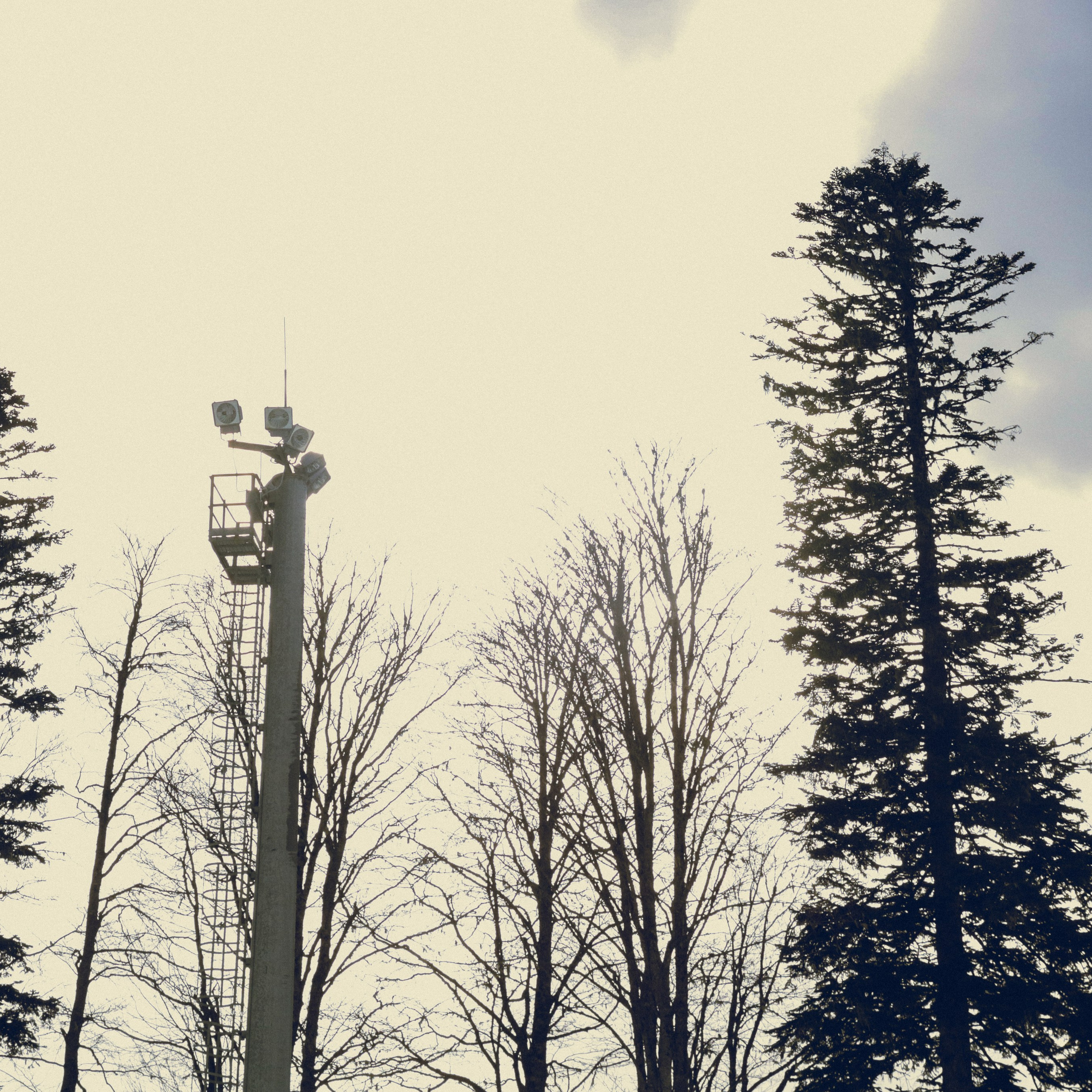 Поляна Роза Сочи 24. Фотография, которая говорит о тебе