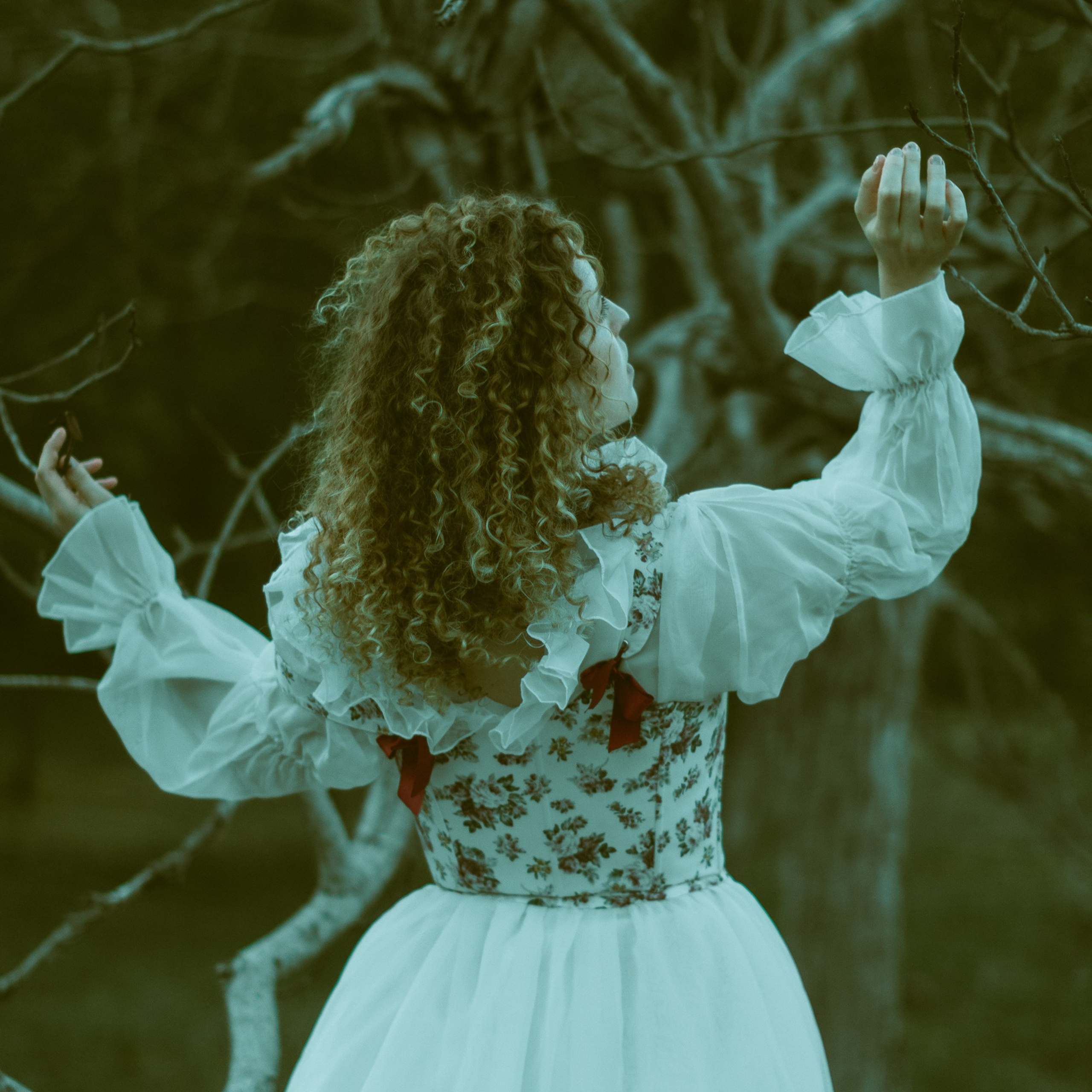 Волшебный лес. Фотограф твоей души, снимаю в Крыму и не только