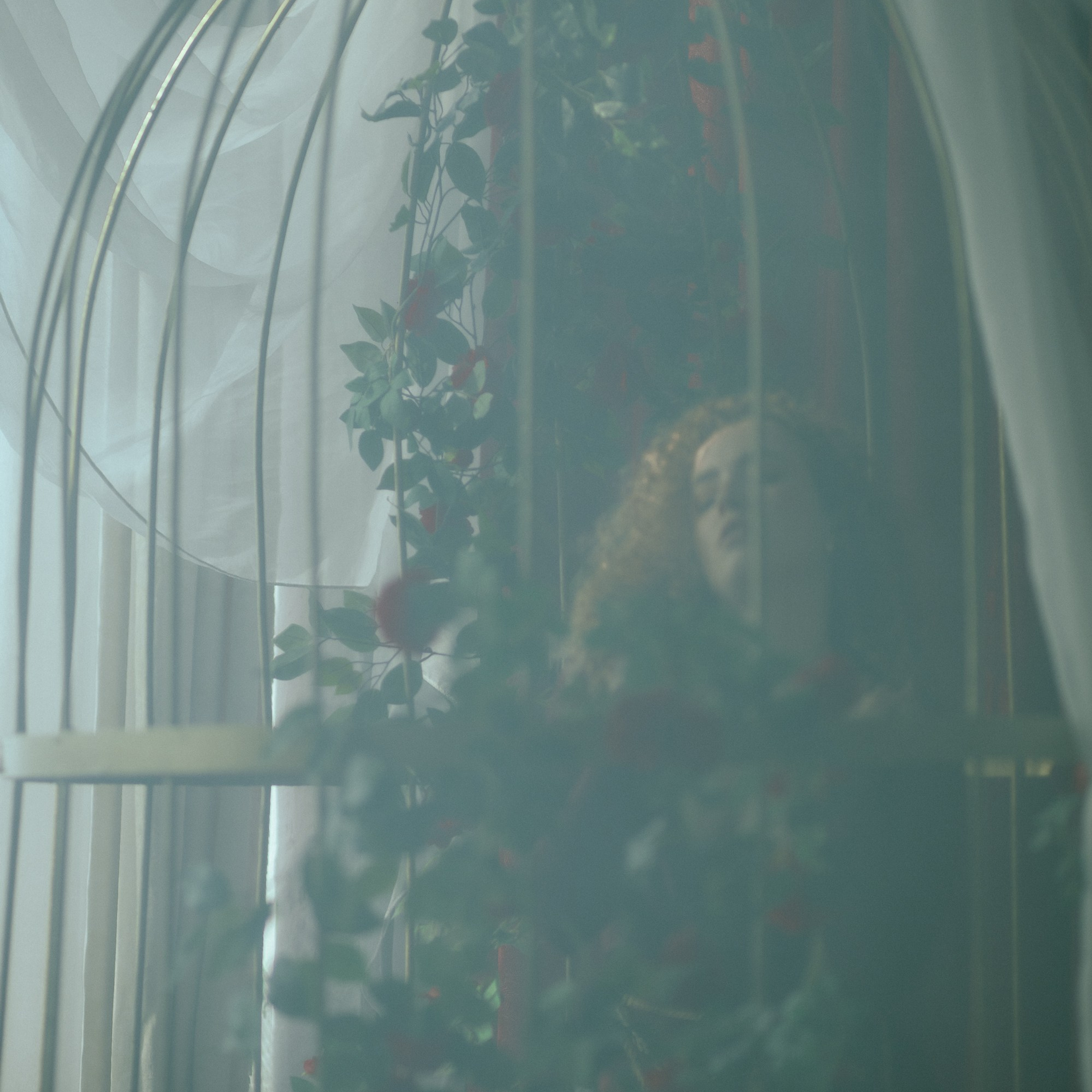 Кто я?. Фотография, которая говорит о тебе