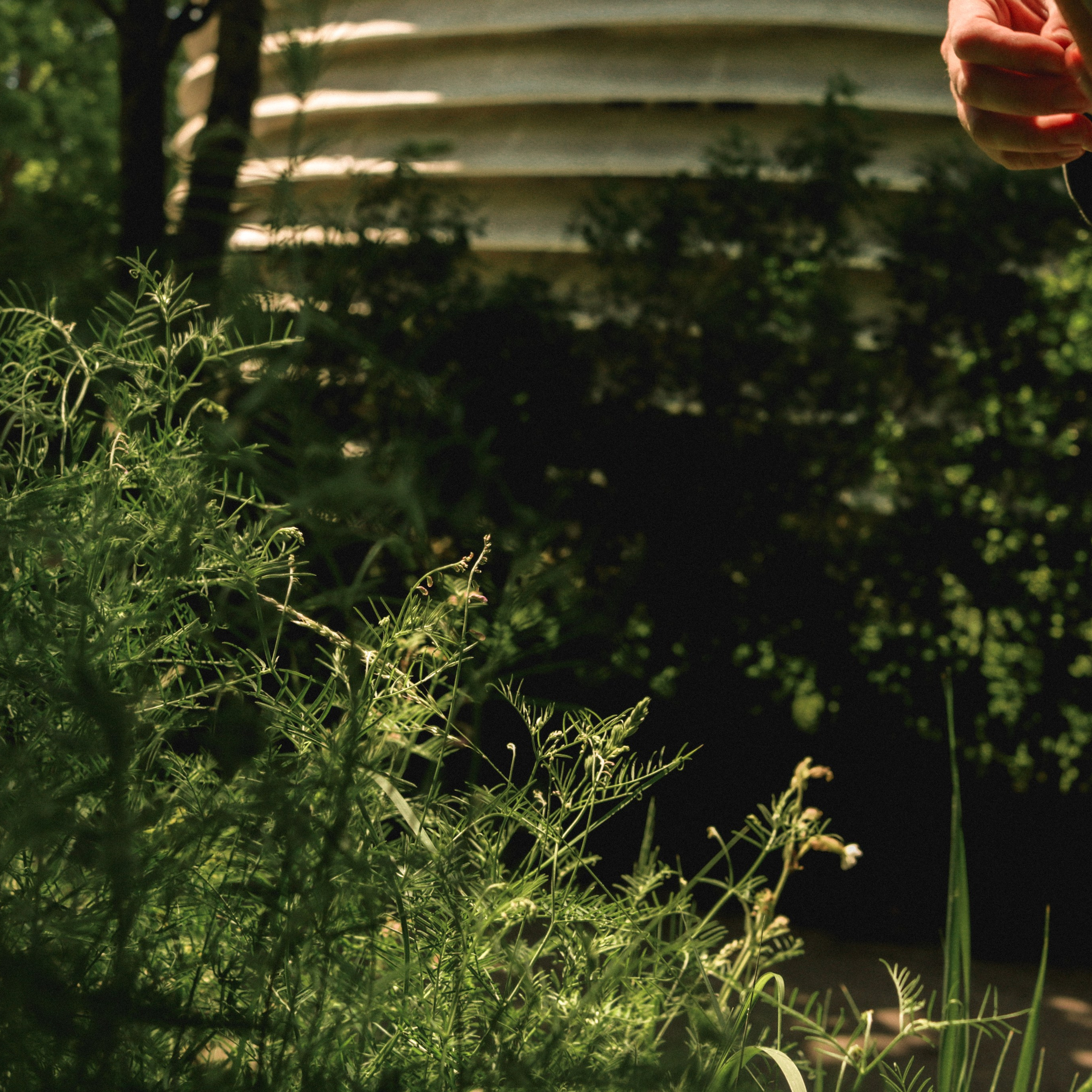 Прогулка день Земли 24. Фотография, которая говорит о тебе