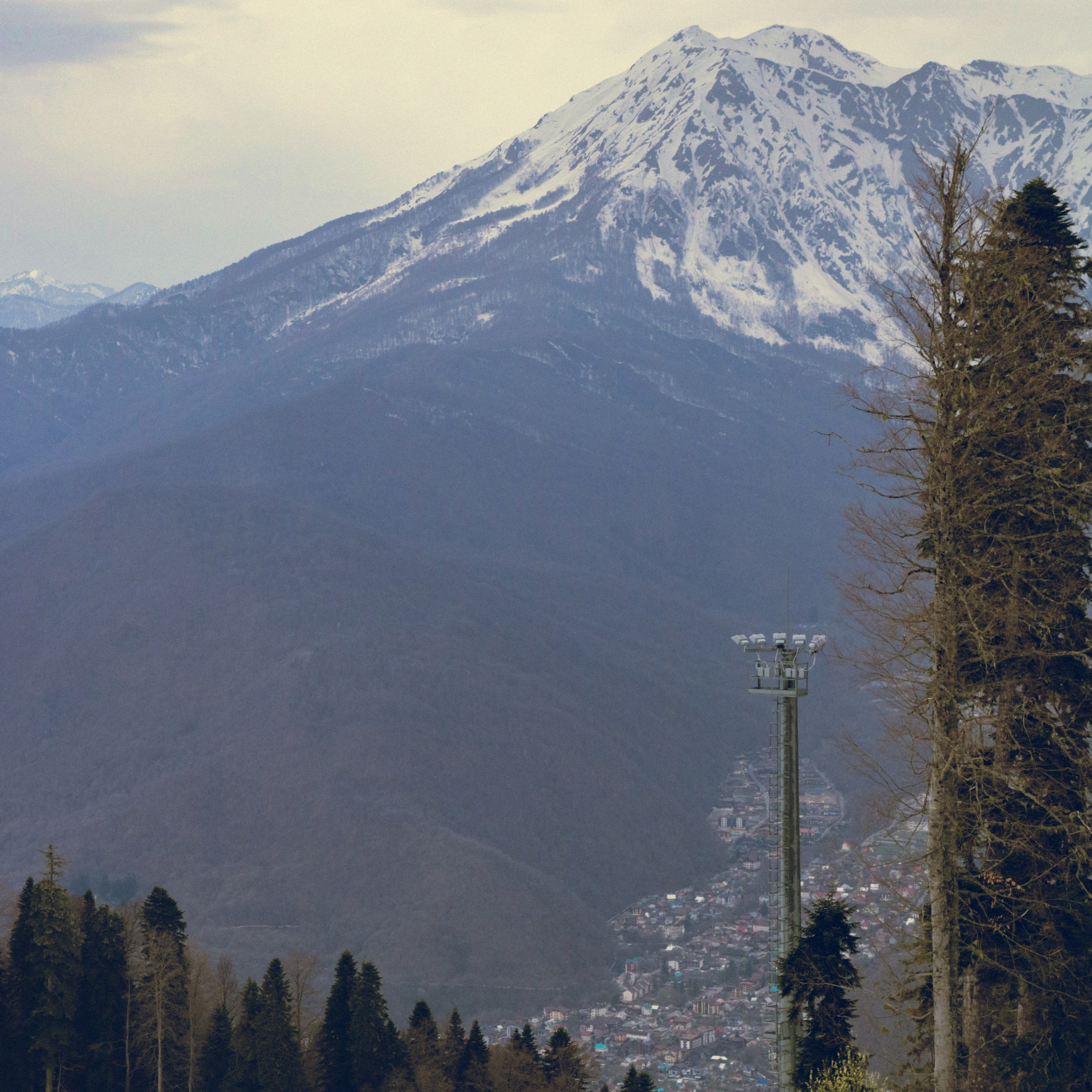 Поляна Роза Сочи 24. Фотография, которая говорит о тебе
