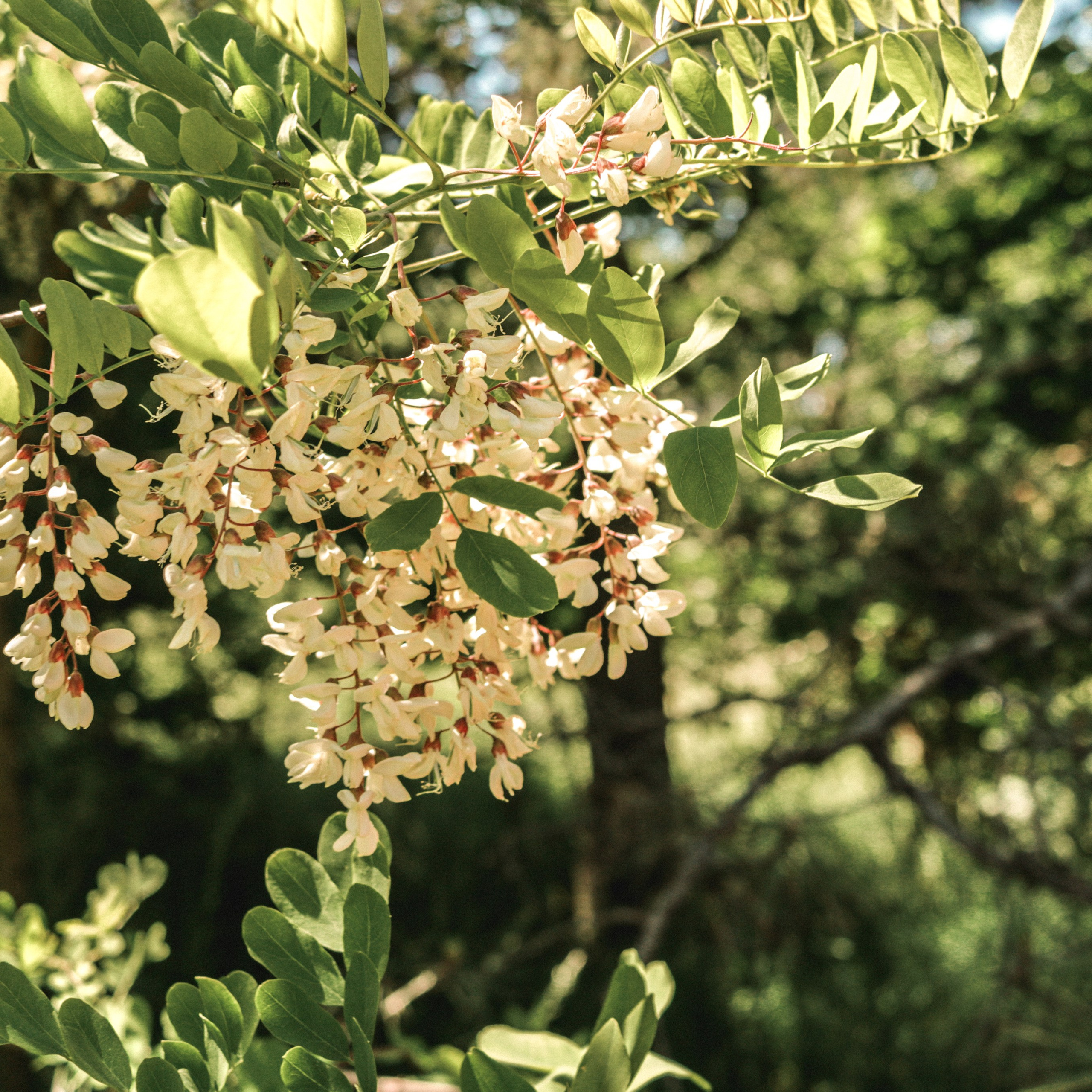Прогулка день Земли 24. Фотография, которая говорит о тебе