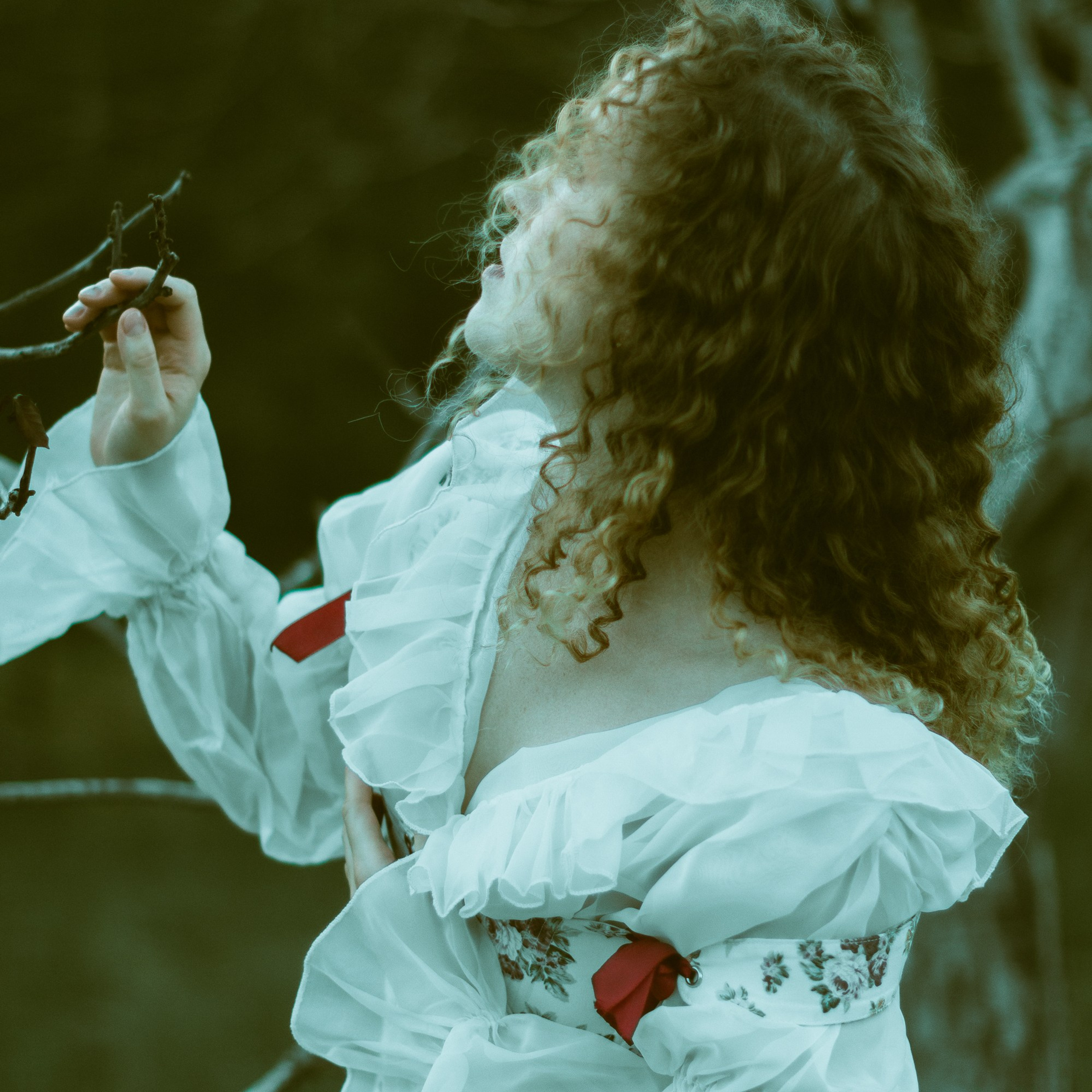 Волшебный лес. Фотограф твоей души, снимаю в Крыму и не только