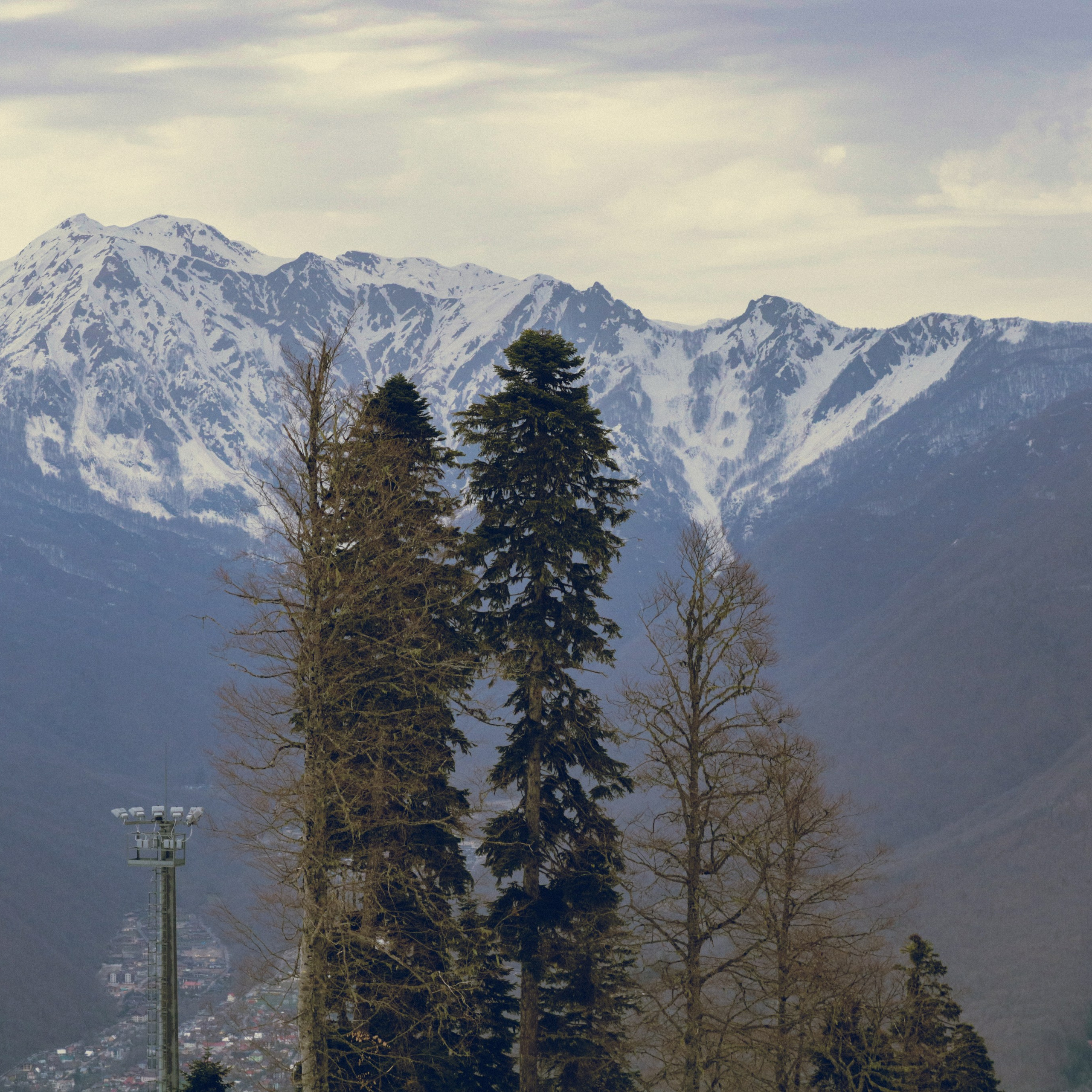 Поляна Роза Сочи 24. Фотография, которая говорит о тебе