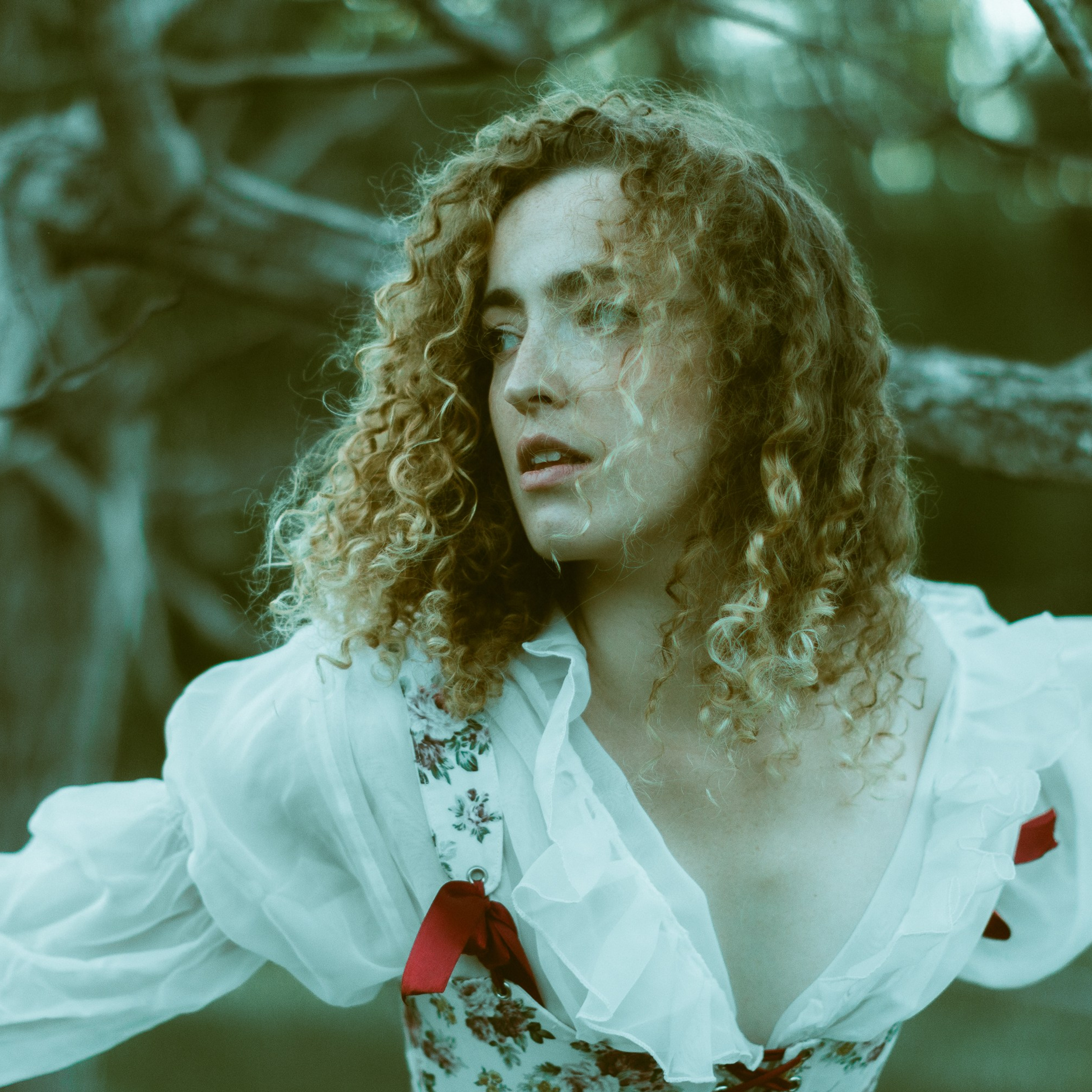 Волшебный лес. Фотограф твоей души, снимаю в Крыму и не только