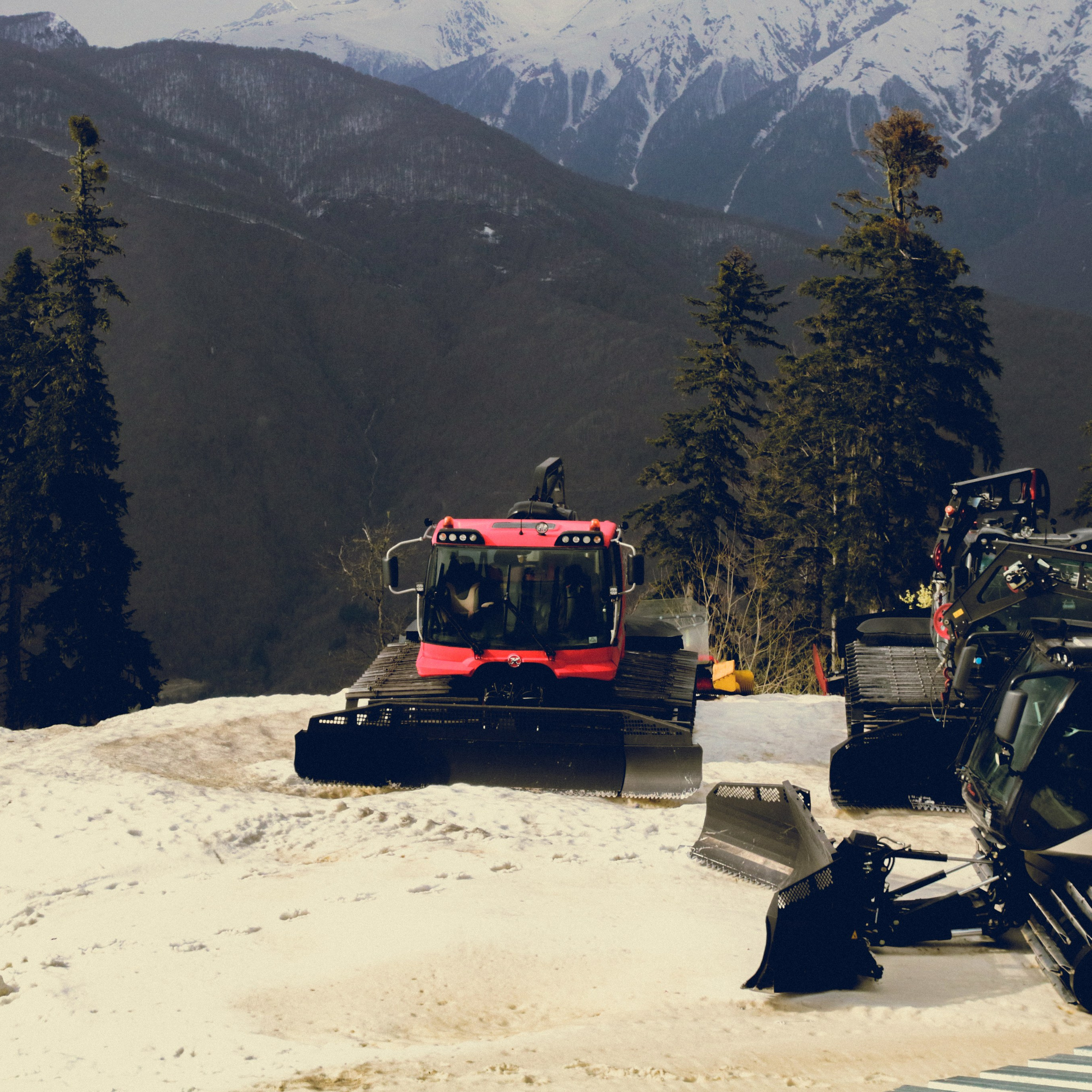 Поляна Роза Сочи 24. Фотография, которая говорит о тебе