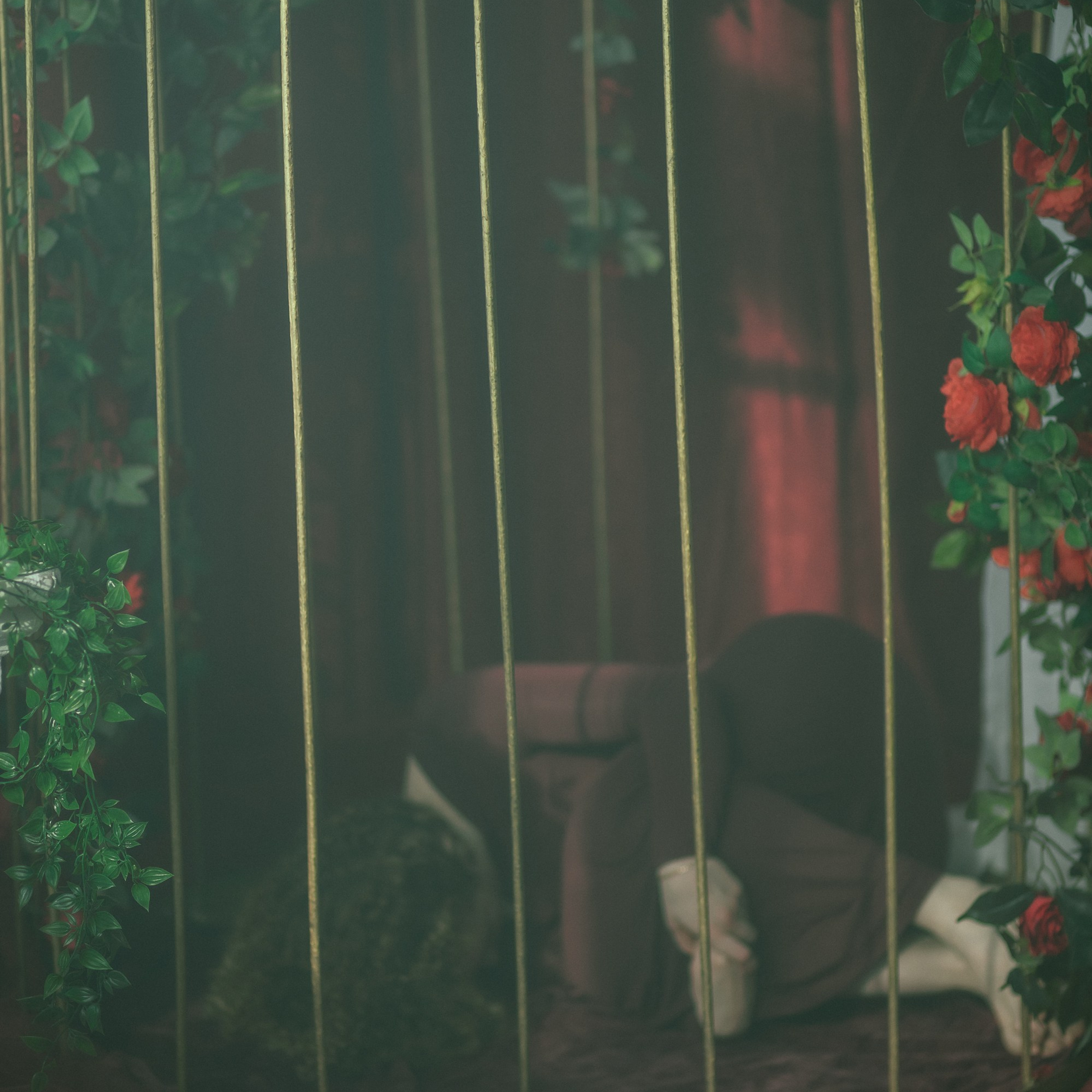 Кто я?. Фотография, которая говорит о тебе