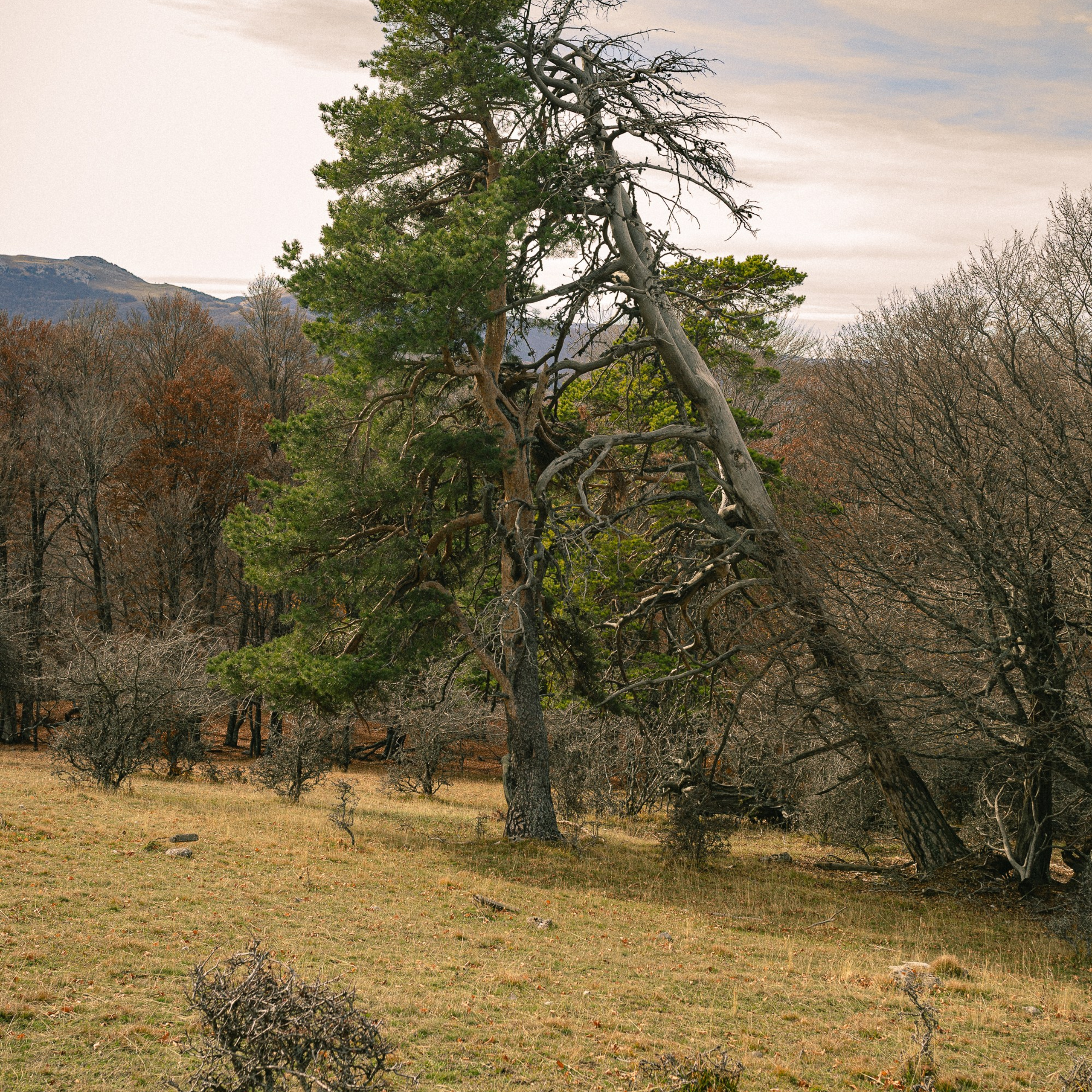 Для печати. Фотограф твоей души, снимаю в Крыму и не только