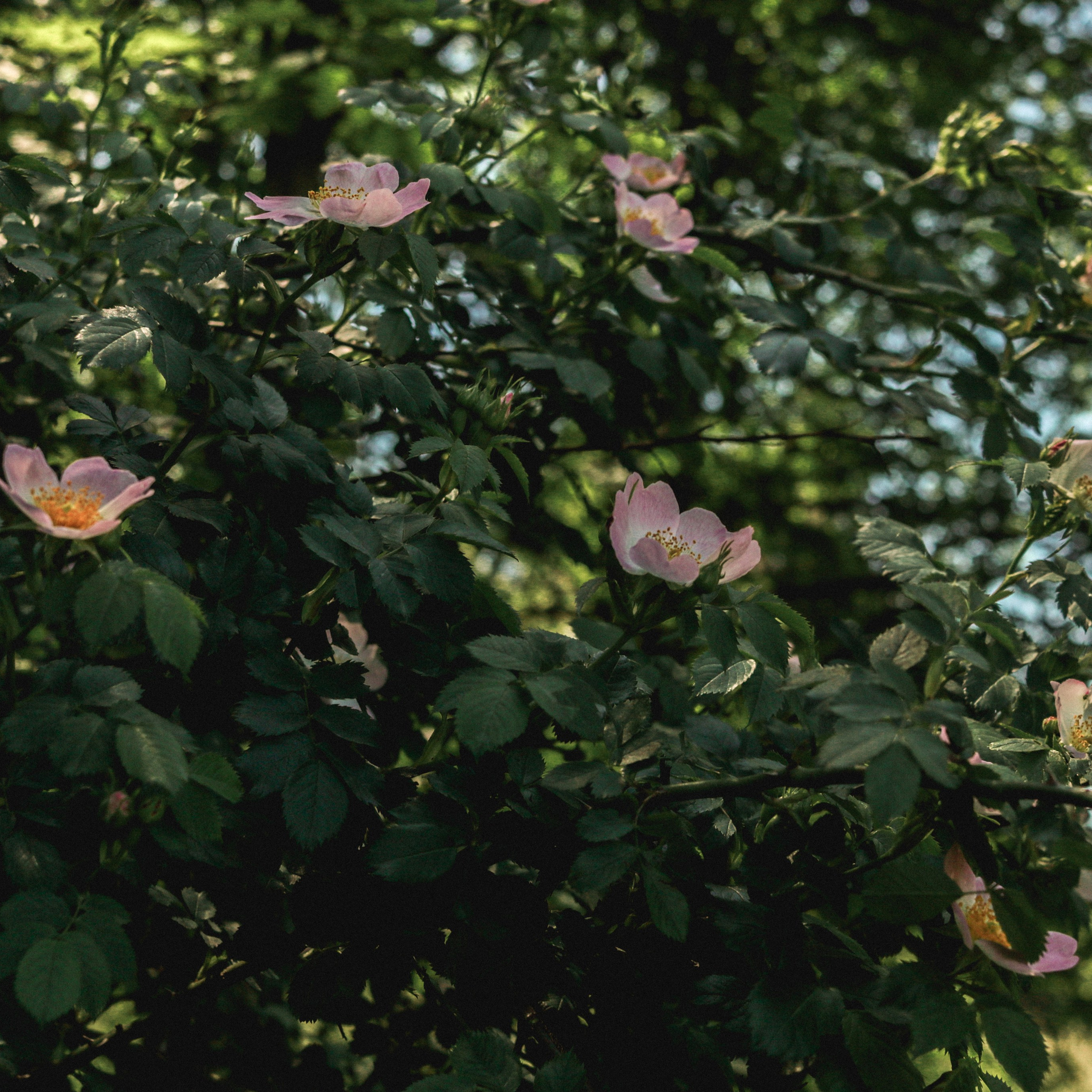 Прогулка день Земли 24. Фотография, которая говорит о тебе