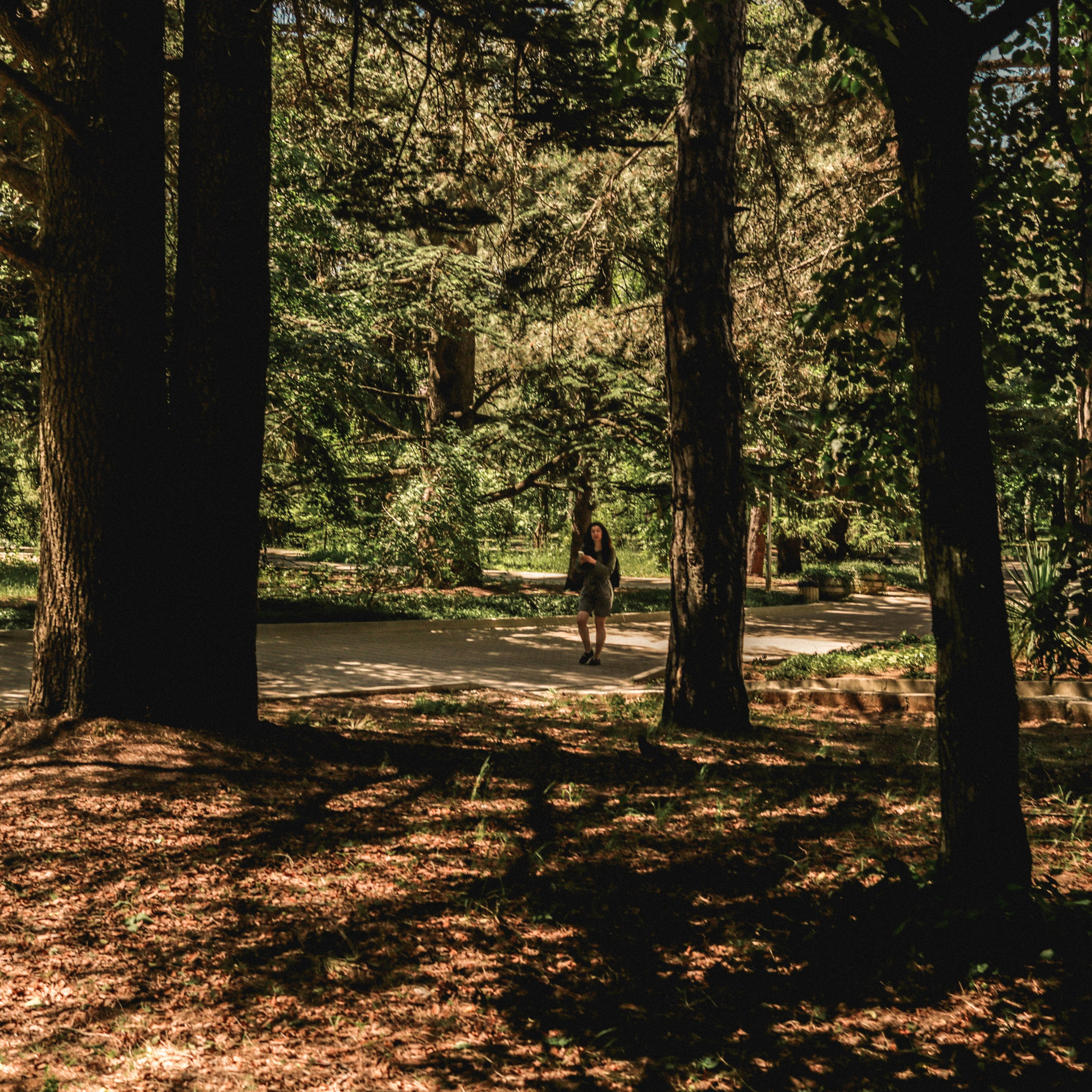 Прогулка день Земли 24. Фотография, которая говорит о тебе