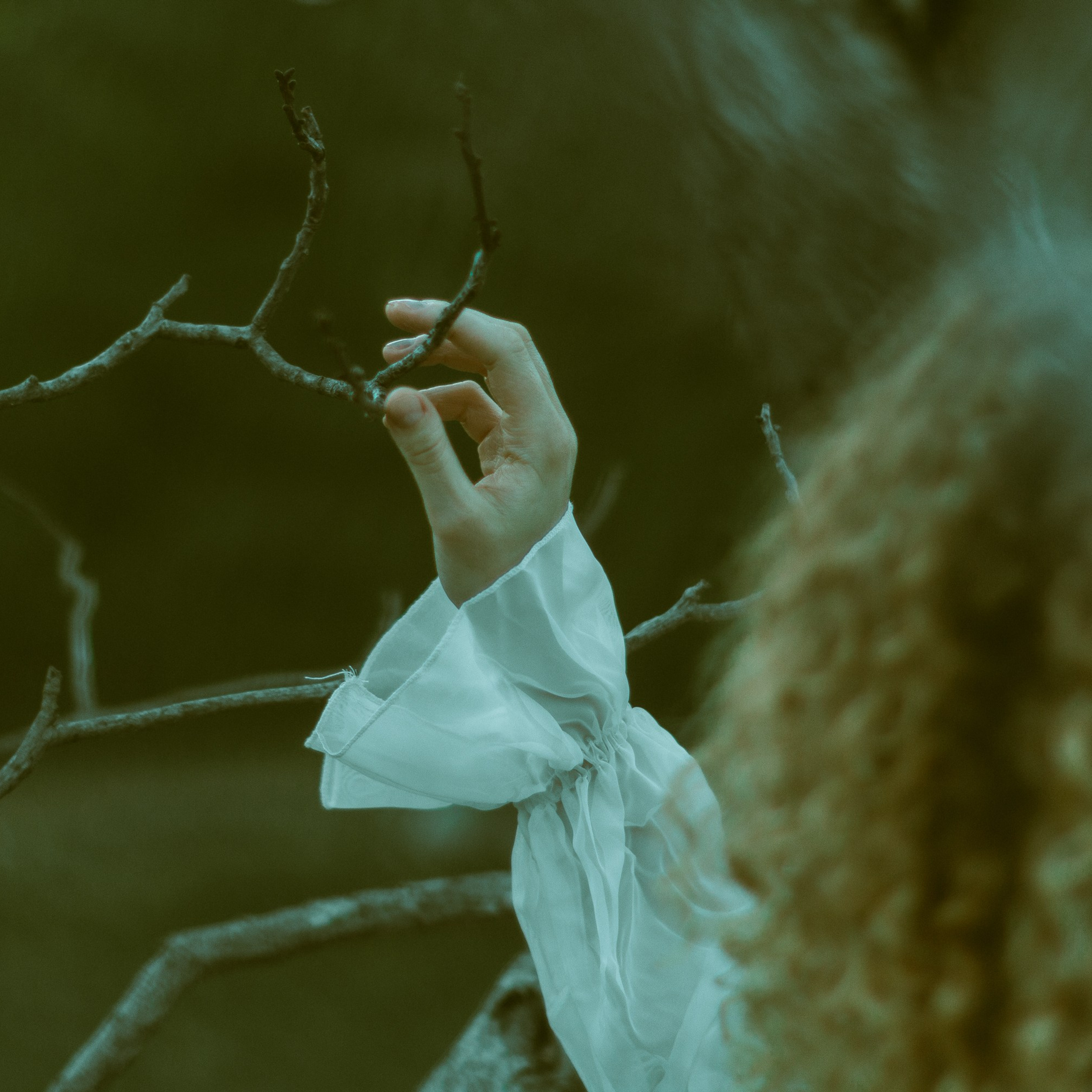 Волшебный лес. Фотограф твоей души, снимаю в Крыму и не только