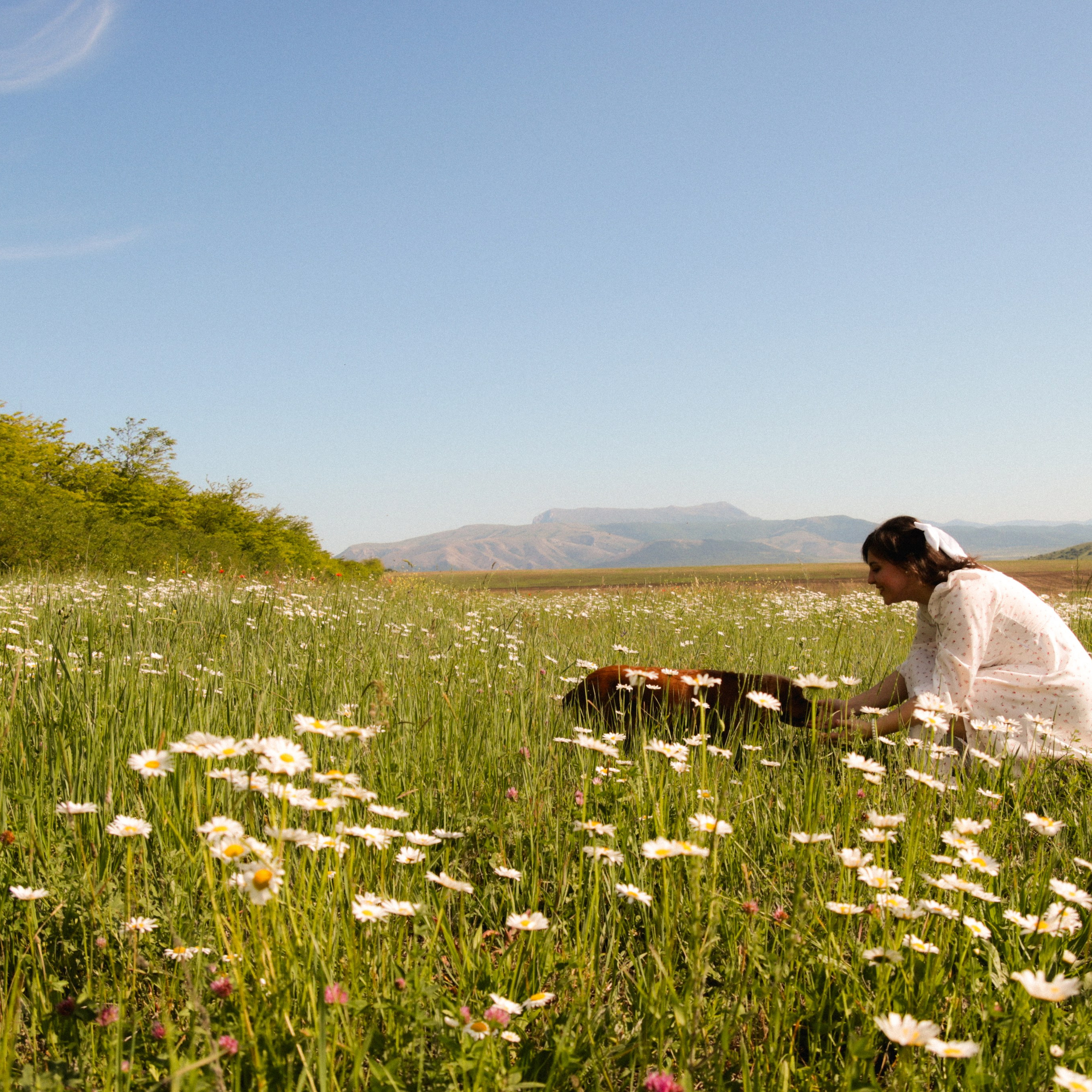 Аня, Черри и ромашки. Фотограф твоей души, снимаю в Крыму и не только