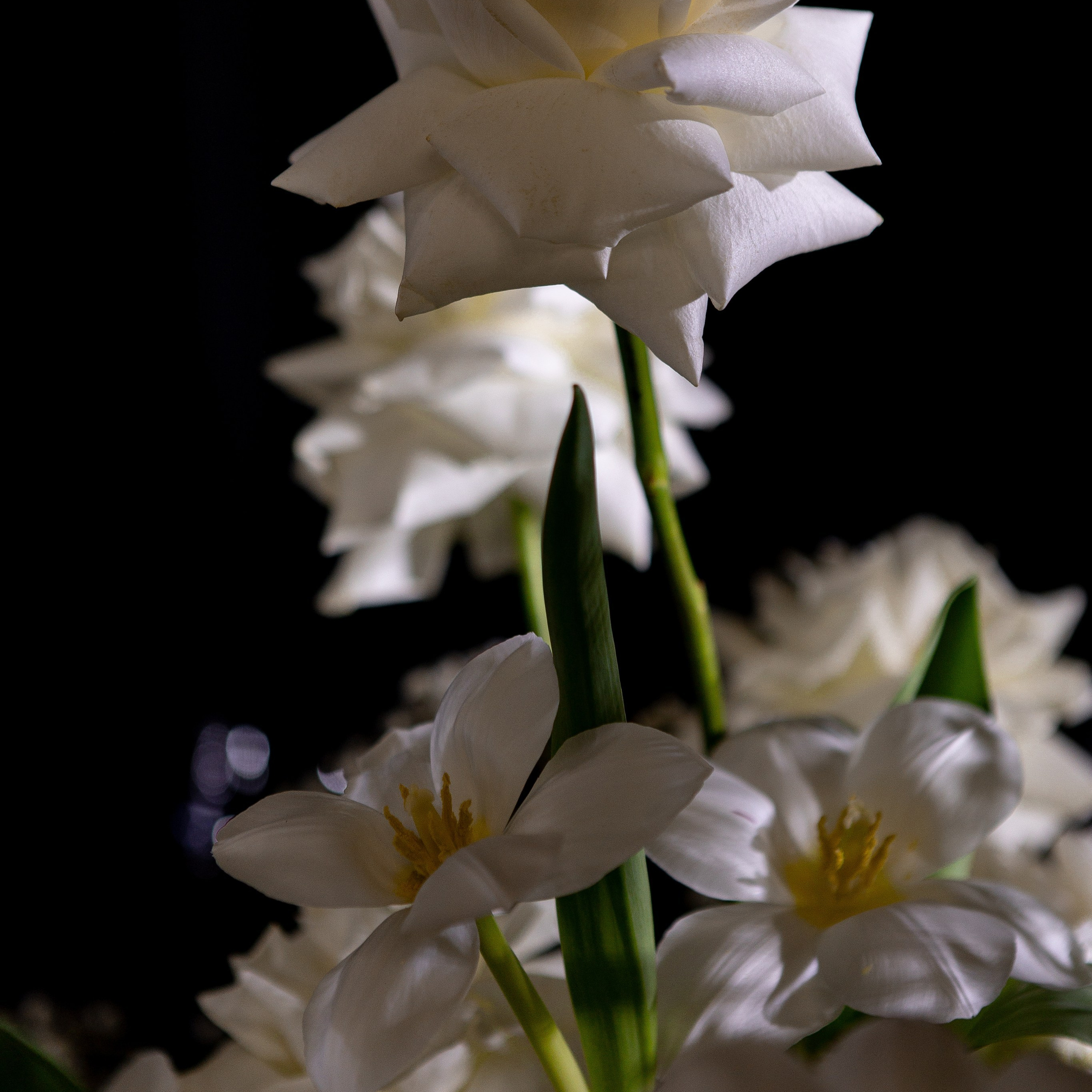 Илья и Наталья