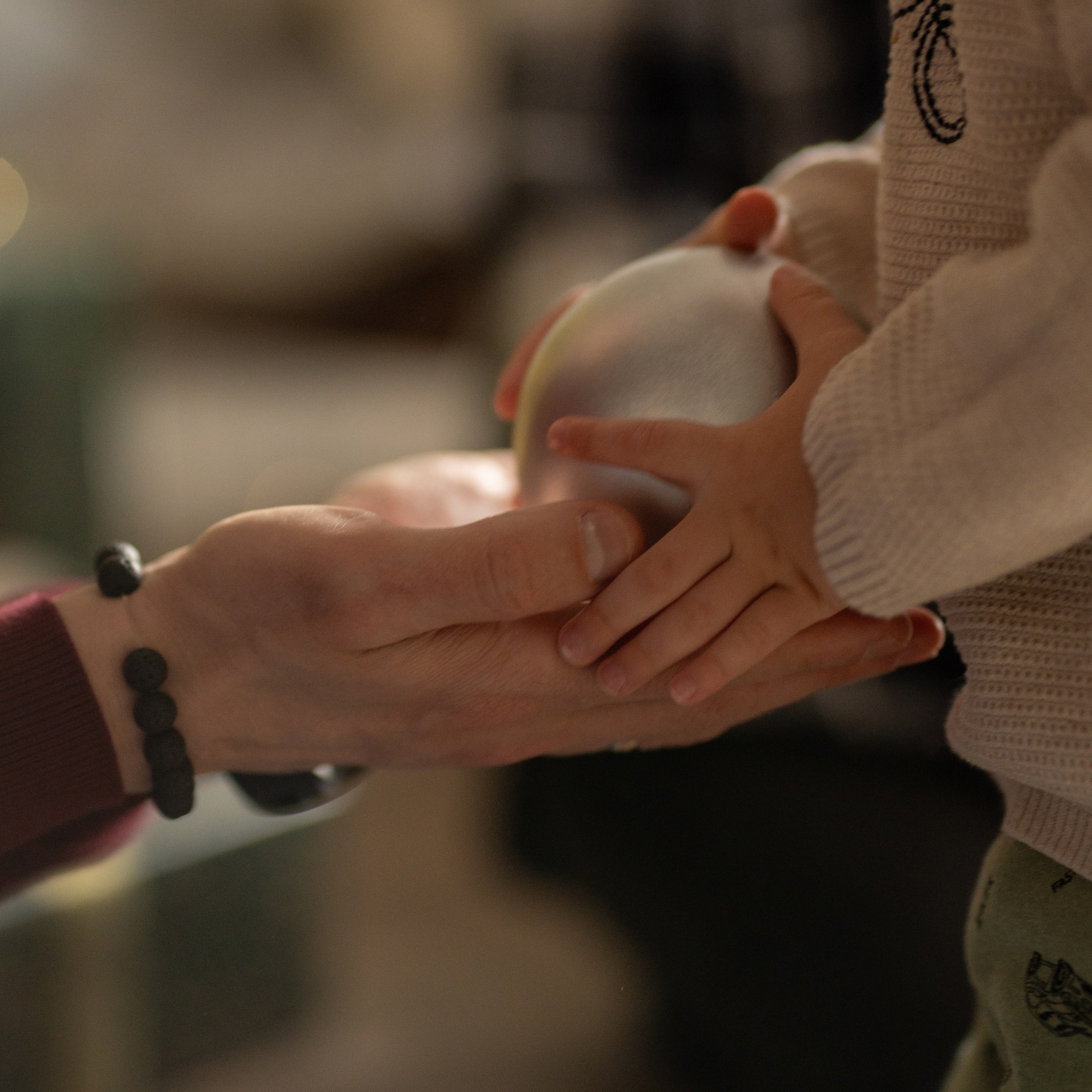 L.Family. Ниндзя с камерой