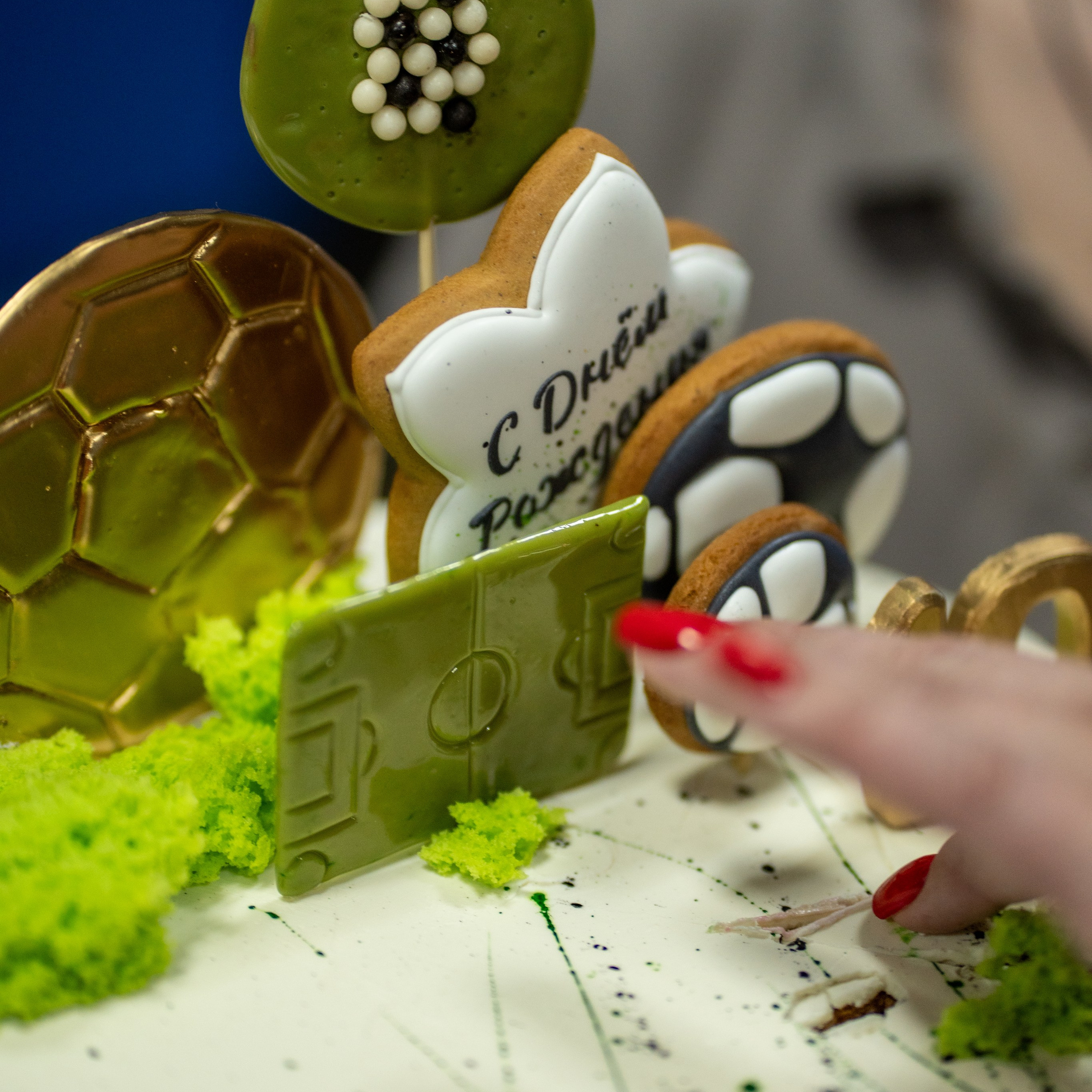 HB Кирилл. Ниндзя с камерой