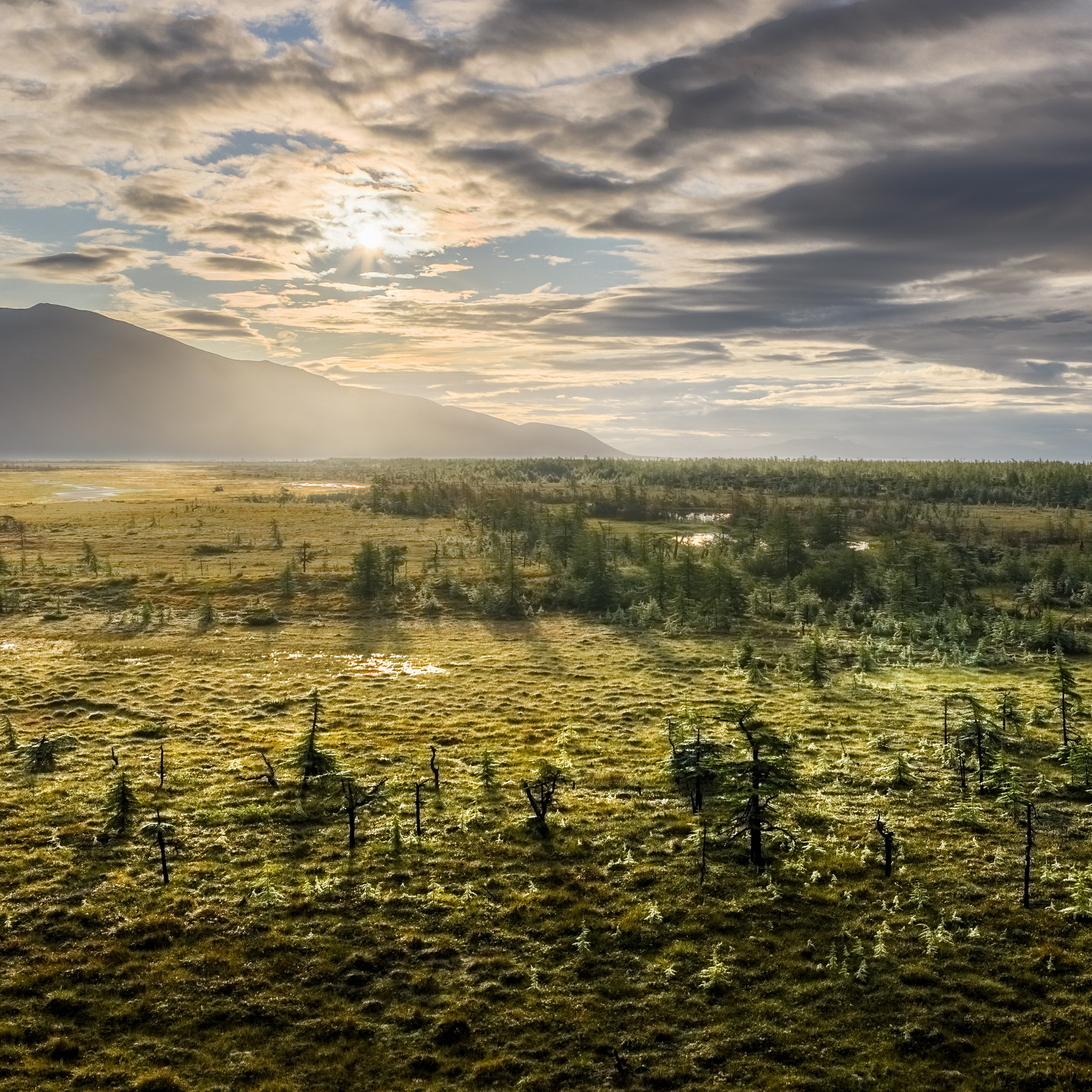 Экспедиция на Колыму