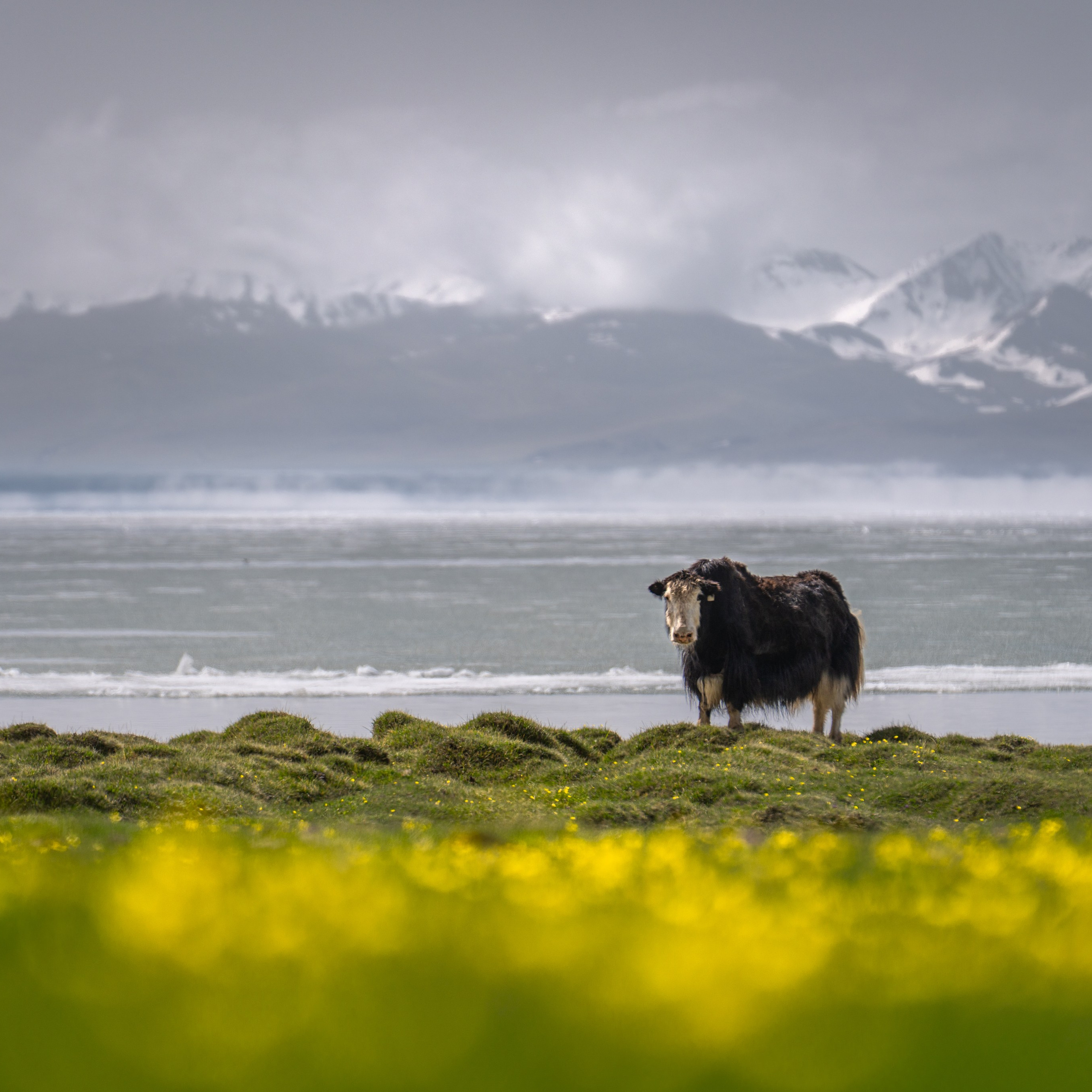 Весенний фототур в Кыргызстан