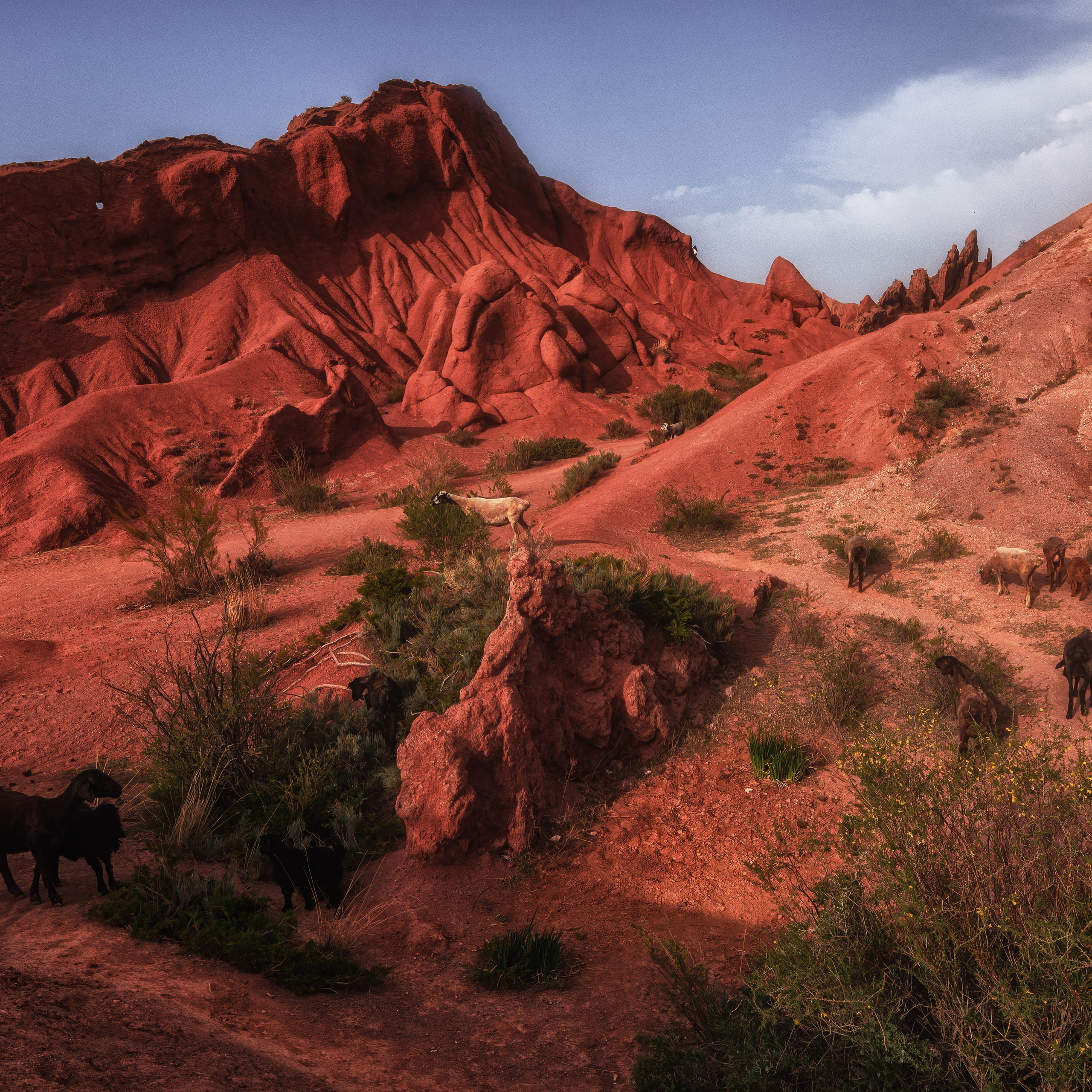 Фототур в Кыргызстан