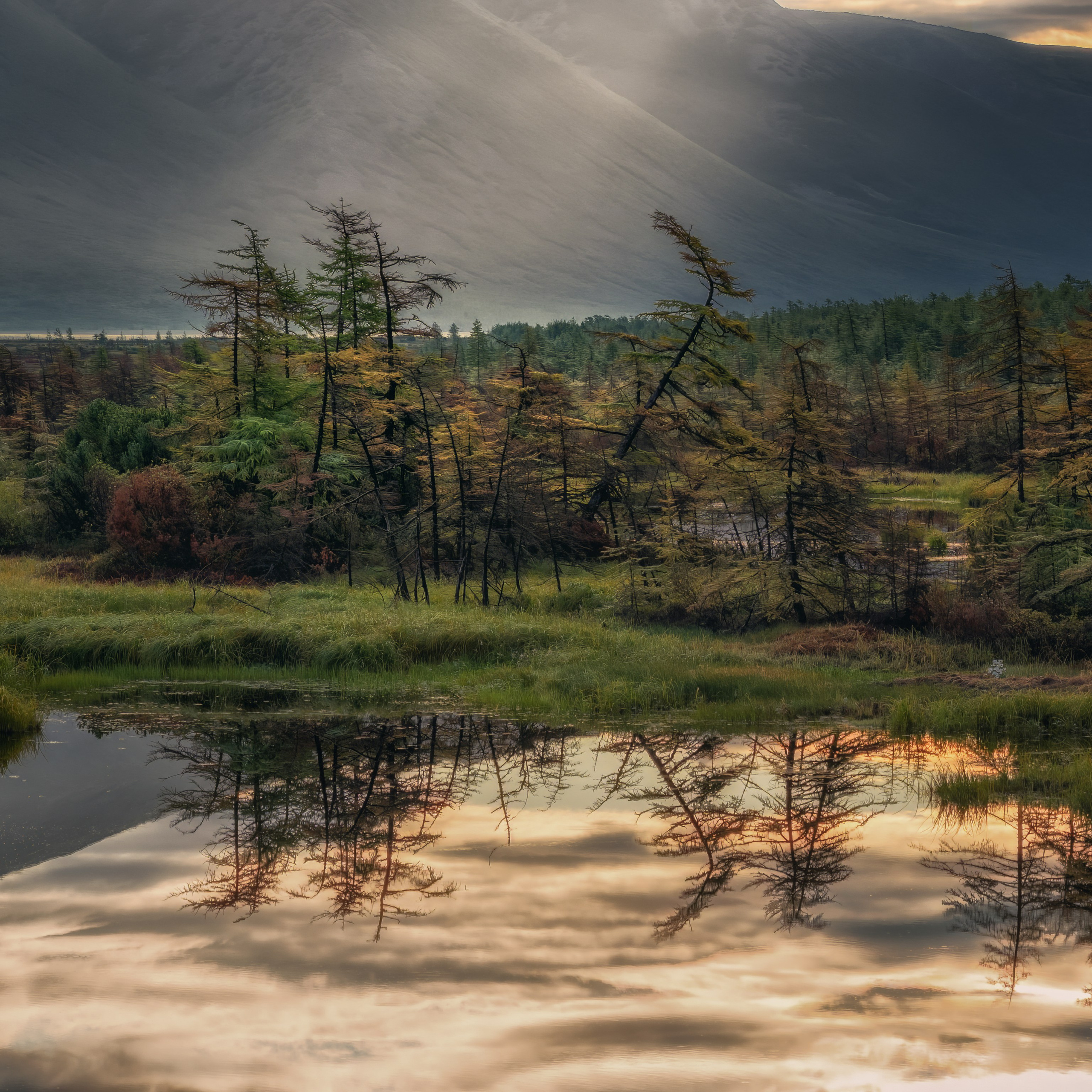 Экспедиция на Колыму