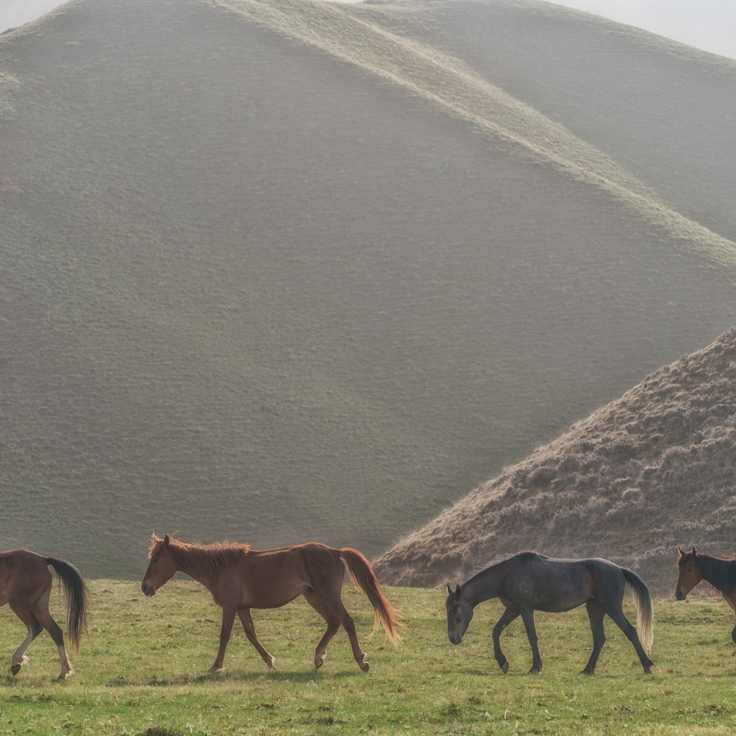 Весенний фототур в Кыргызстан