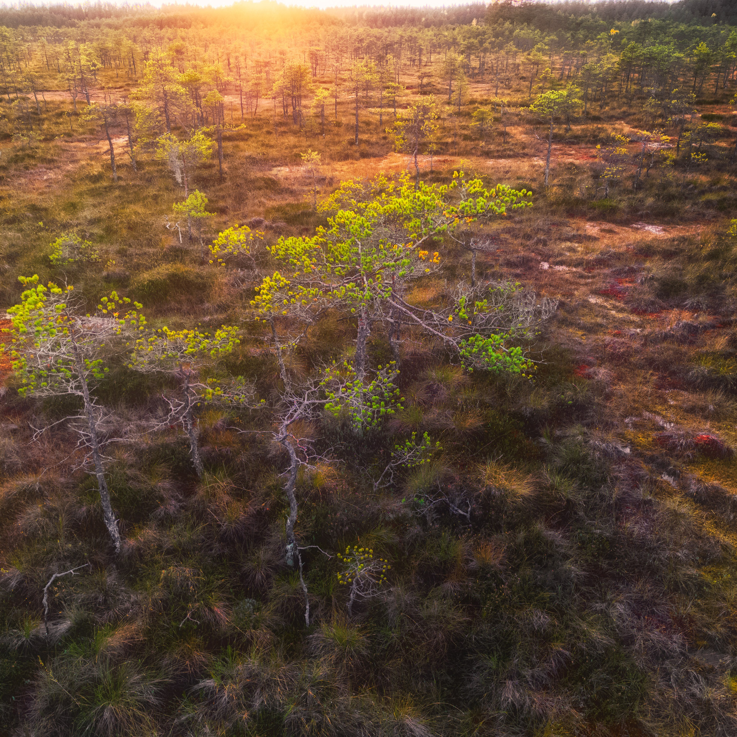 Осенняя Карелия