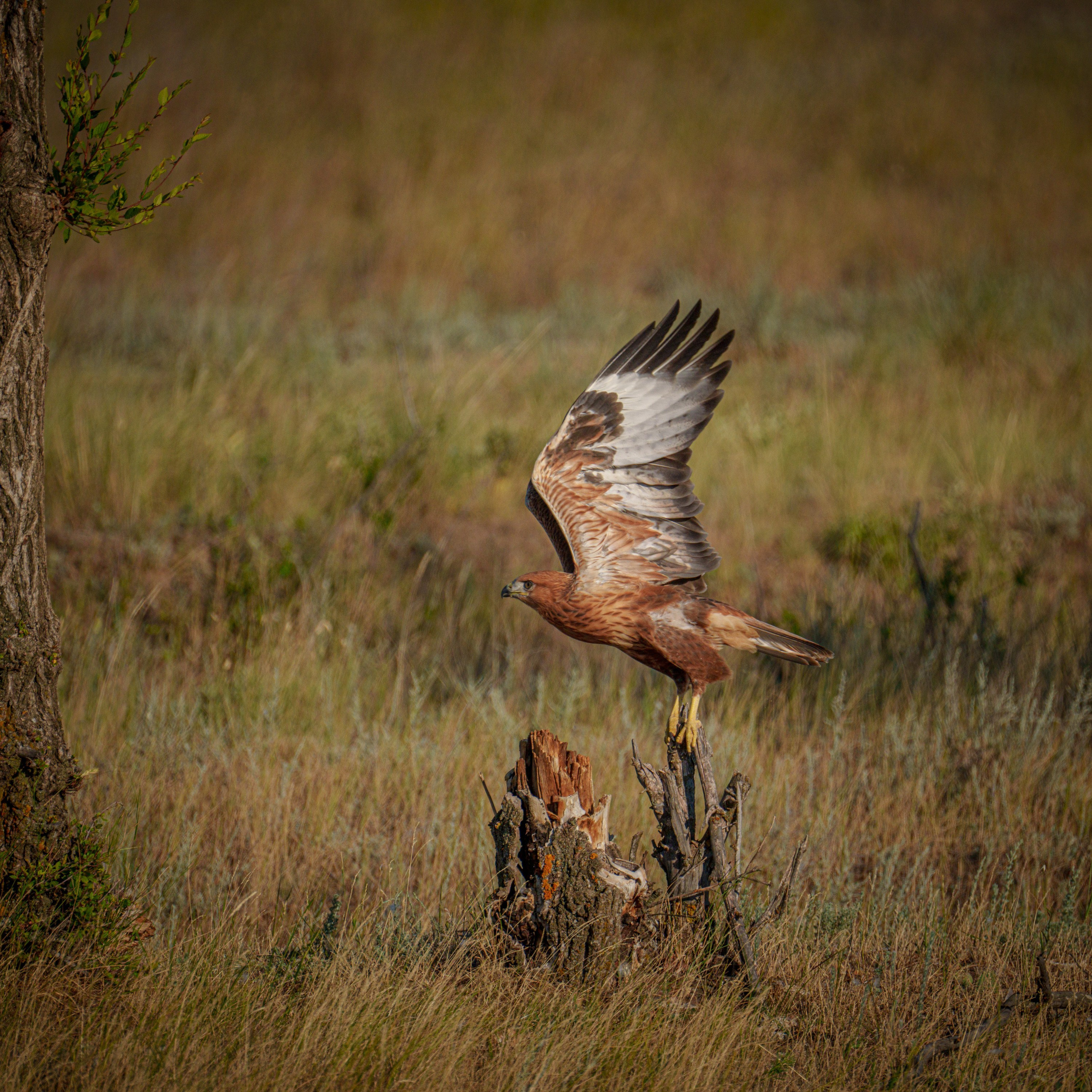 Осенняя Карелия