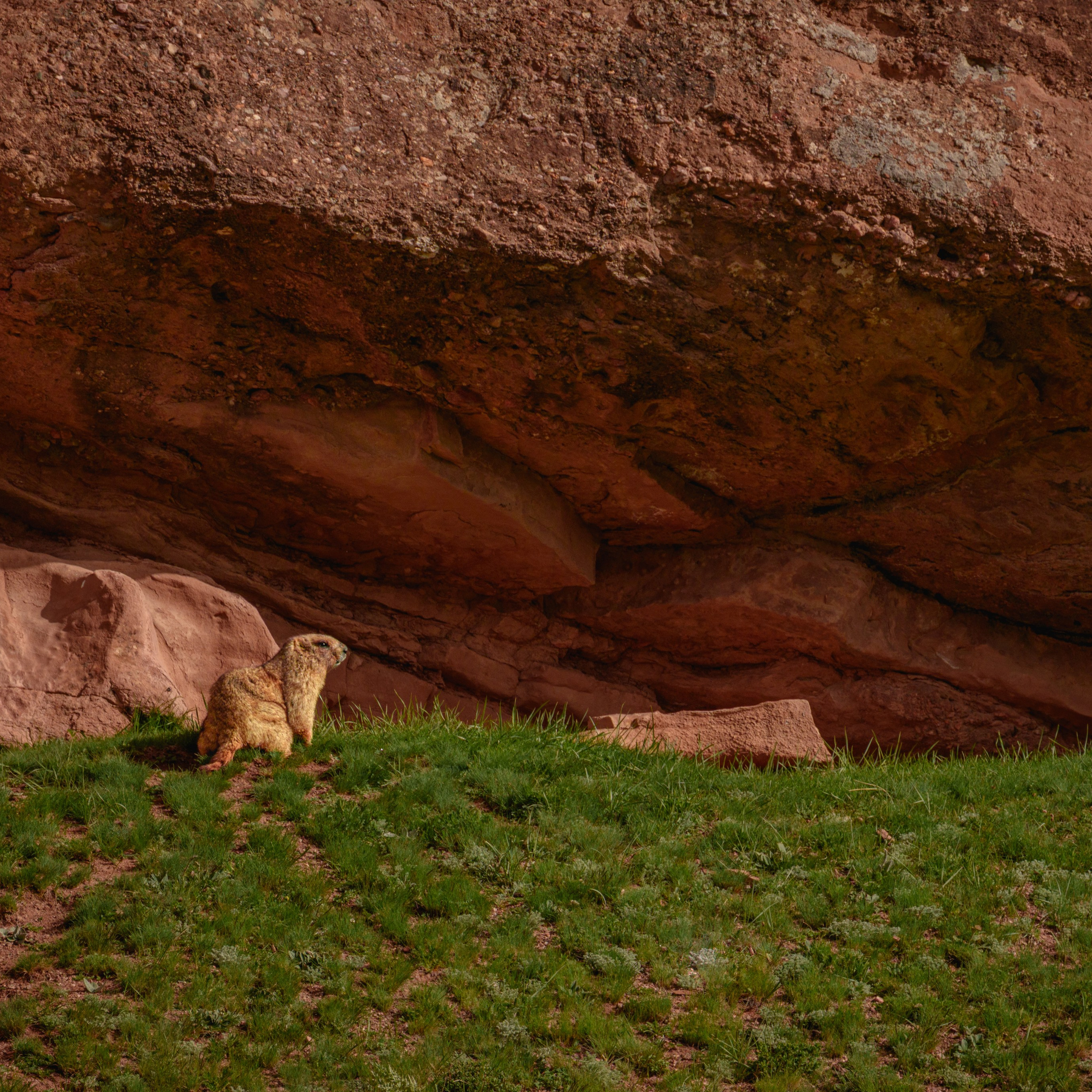 Фототур в Кыргызстан
