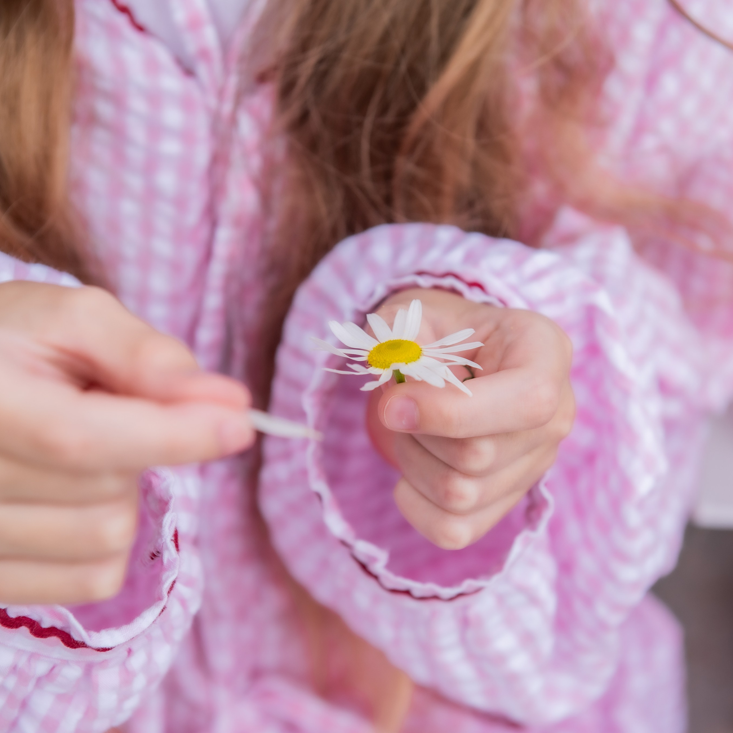 День рождение. Пикник на природе
