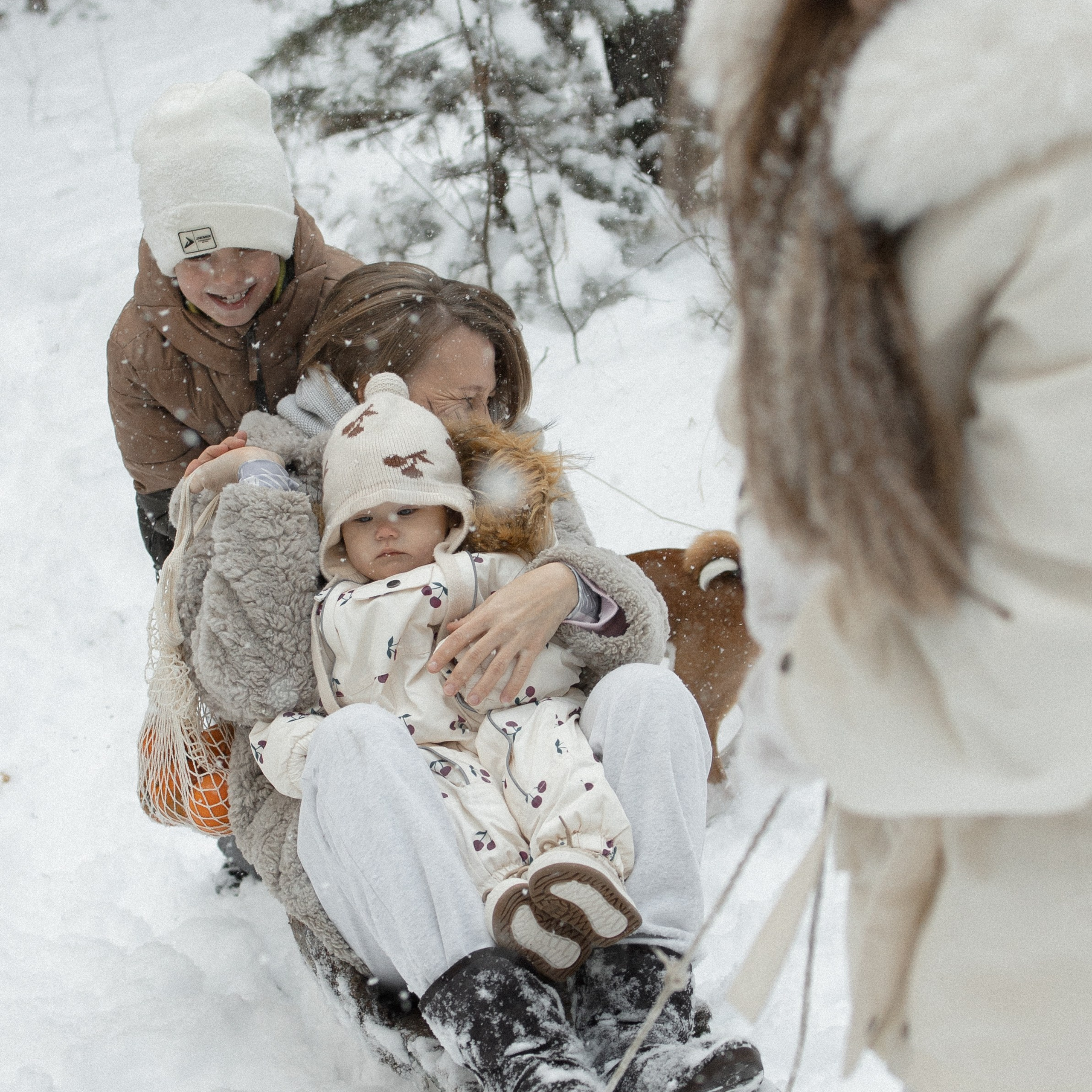 Семья Куркиных | 2026