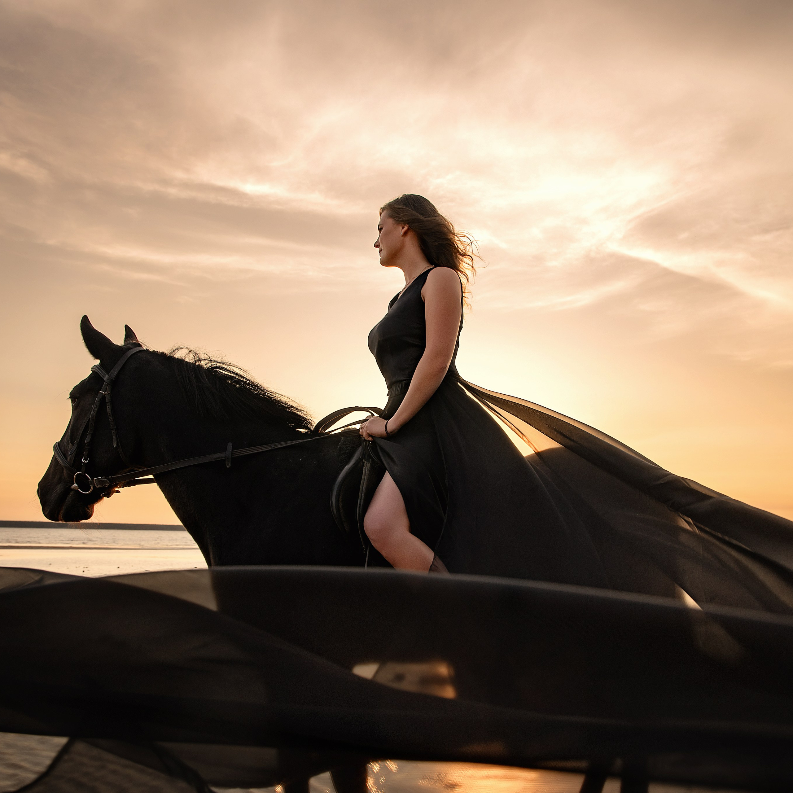 Фотосессии с лошадьми