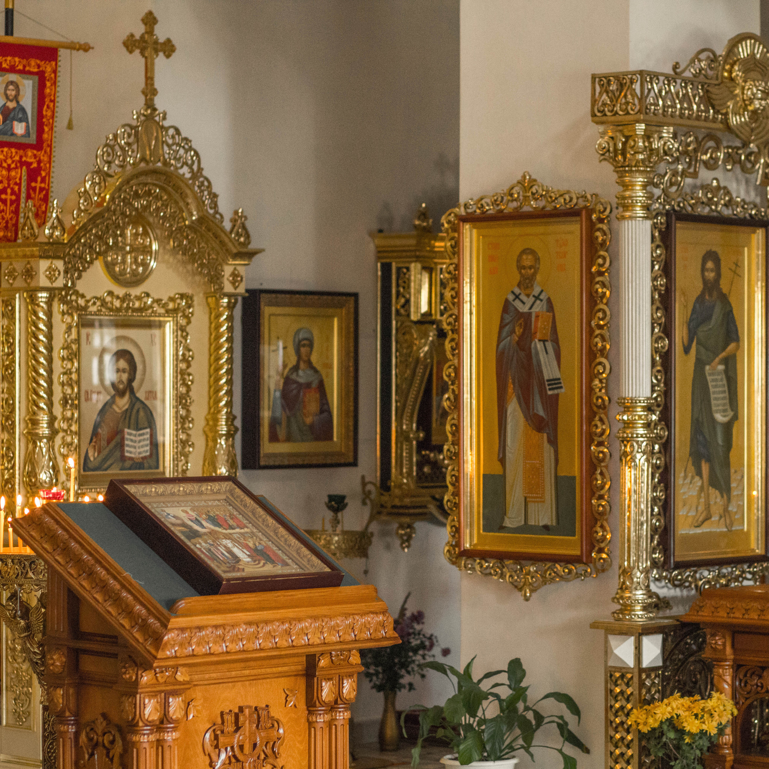 Семейный и свадебный фотограф Екатерина Михайлова