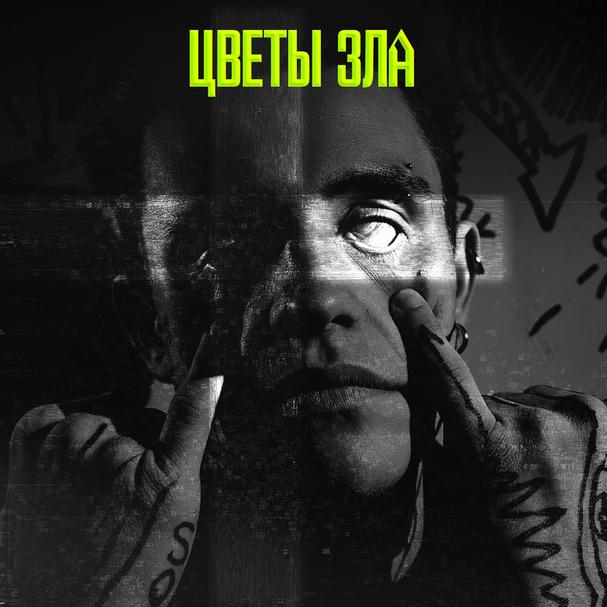 Арт проект «Цветы зла»