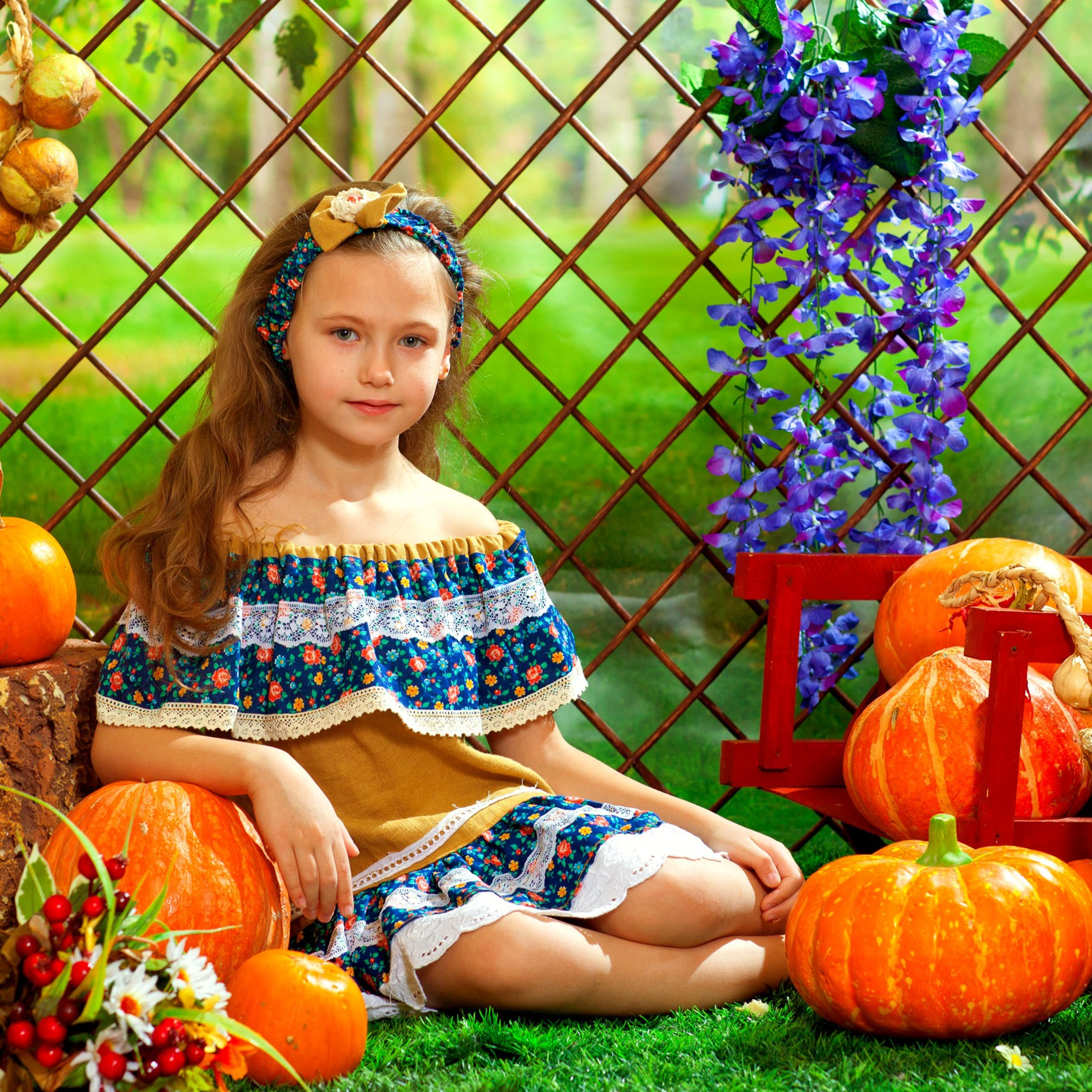 Тыквенный урожай