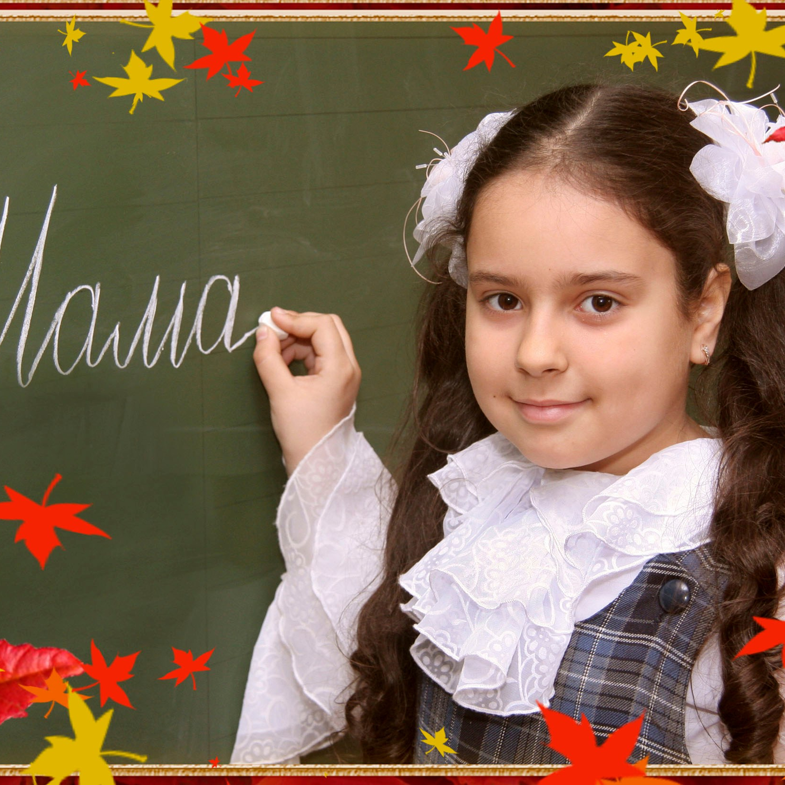 Альбомы для 1-х классов от 1500р